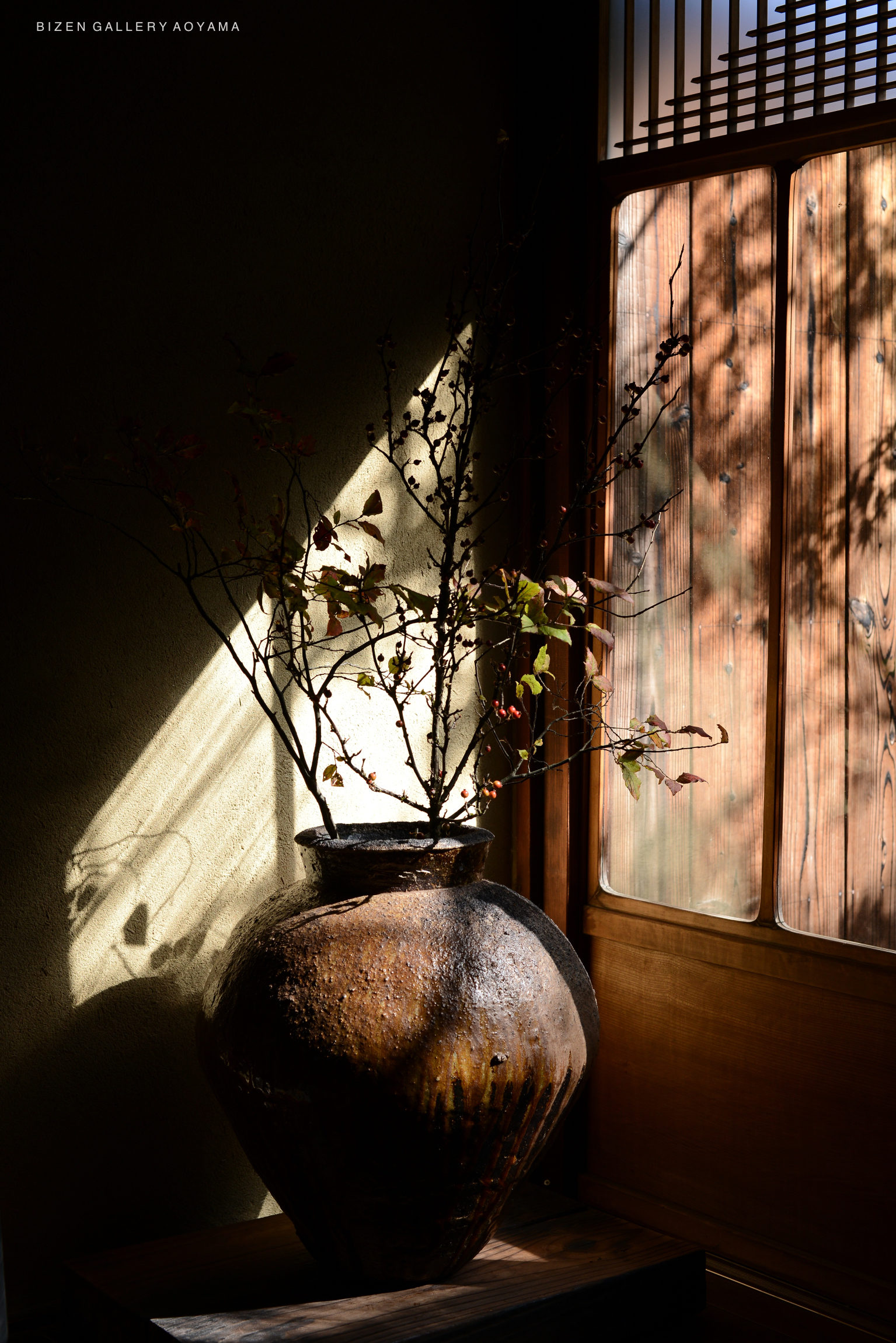 A large, traditional Bizen pottery vase displayed by a window, with branches and leaves arranged inside, casting shadows on the wall.