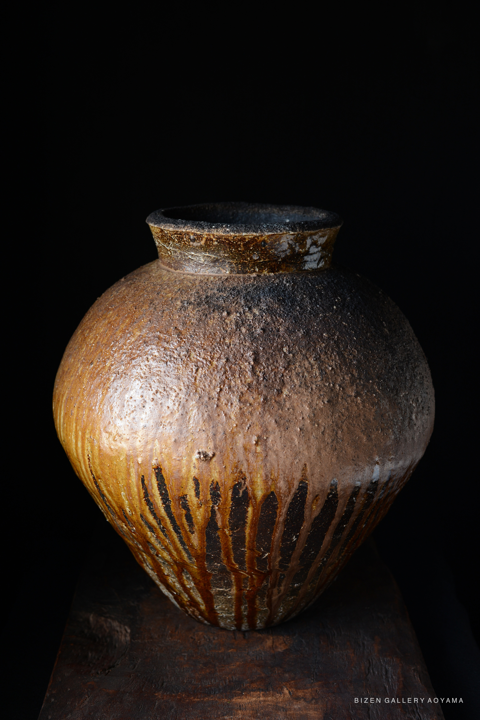 A close-up view of a Bizen pottery jar with a round body and narrow neck, showcasing textured surface details and natural earthy tones, set against a dark background.