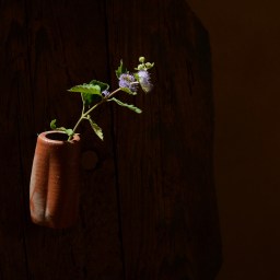 Hidasuki Kakehanaire