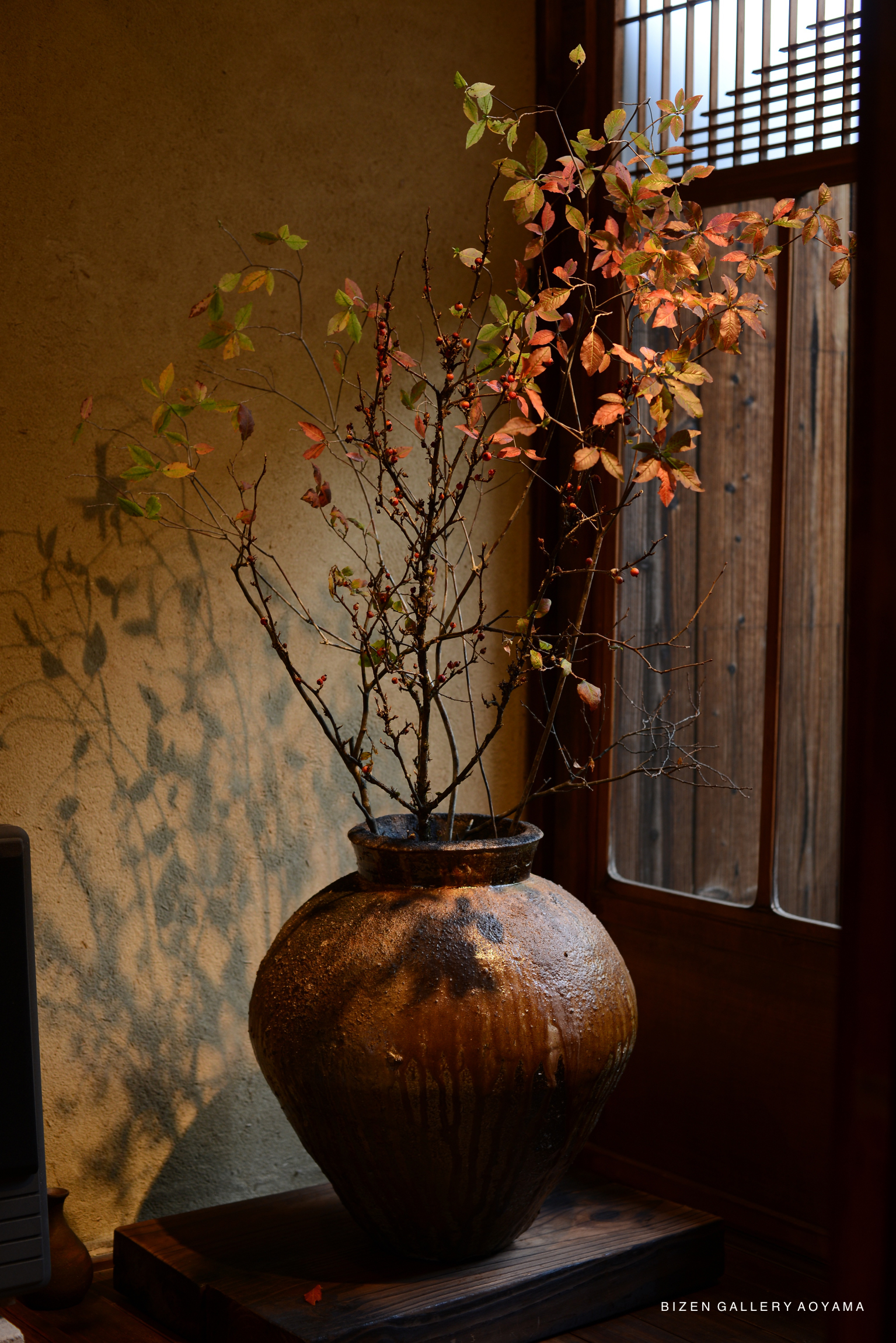 A large, traditional Bizen pottery vase placed beside a window, with branches featuring autumn leaves arranged inside, casting shadows on the wall.