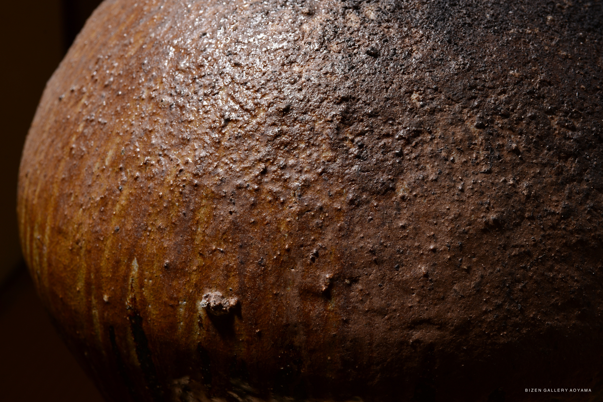 Close-up of a Bizen pottery jar with a textured, earthy surface showcasing natural tones and markings.