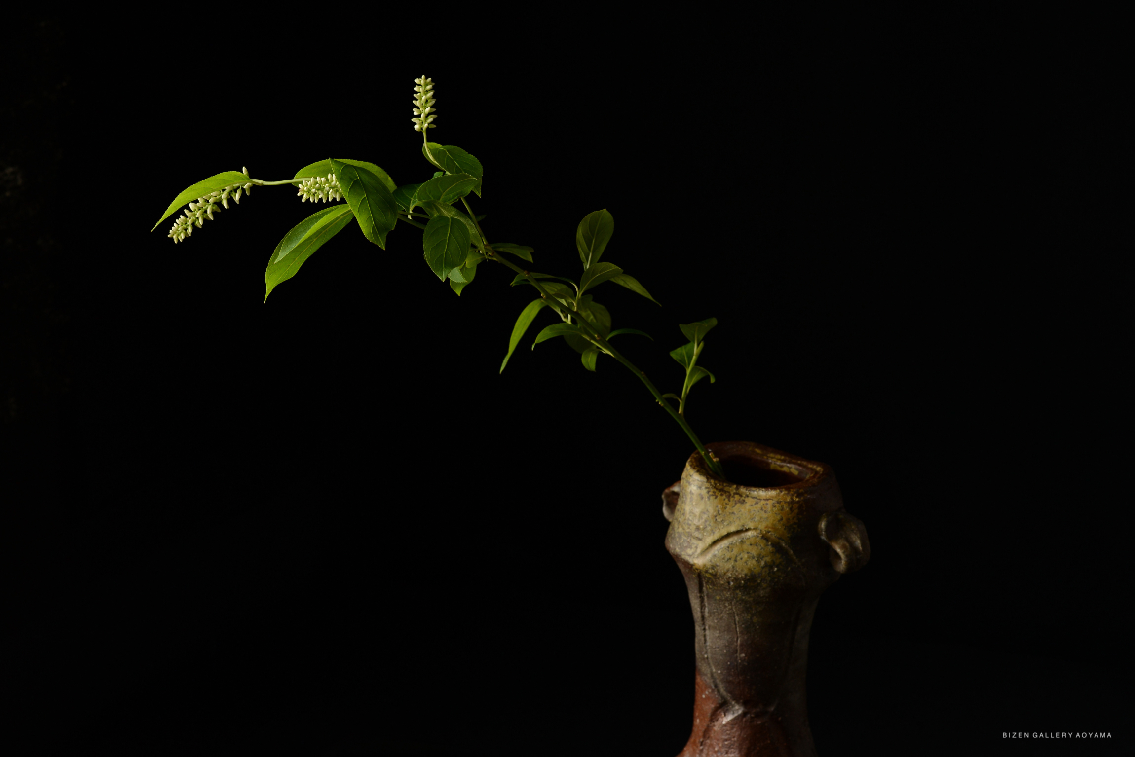 A ceramic vase with a unique design, featuring green branches and small white flowers, set against a dark background.