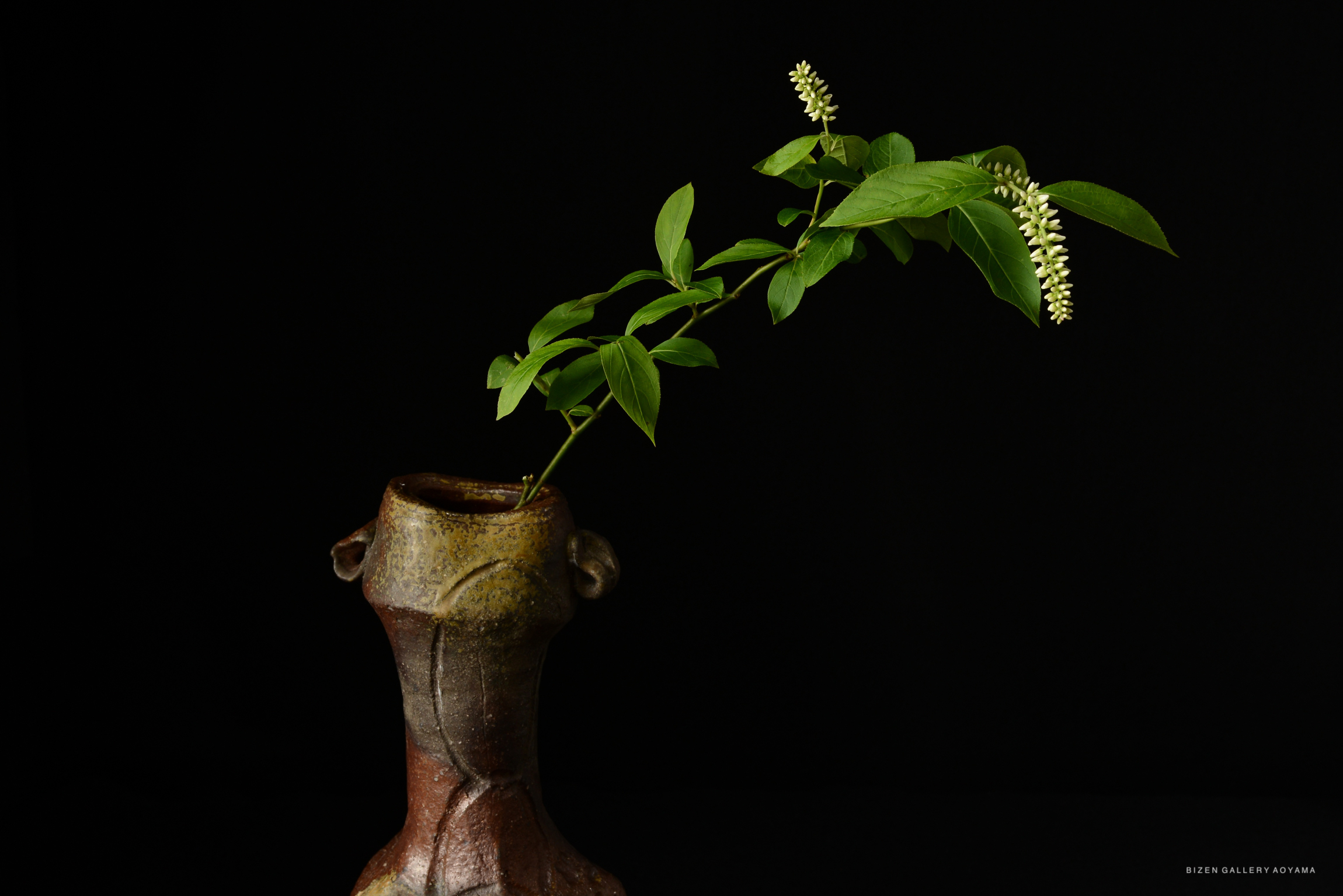 A ceramic vase with a brown and gray finish holding a branch with green leaves and small white flowers, set against a black background.