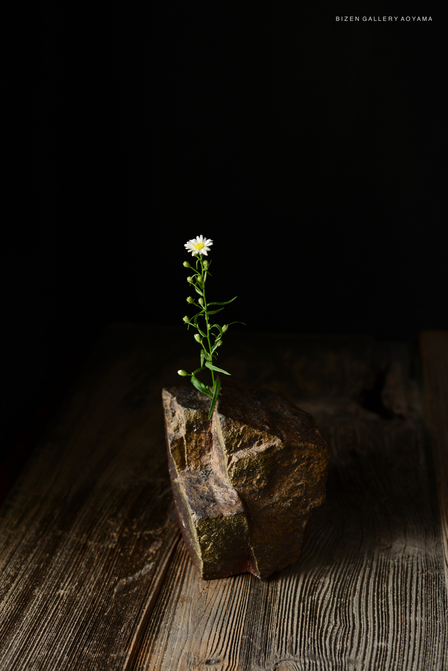 A small rock sculpture with a single white flower stem emerging from it, placed on a wooden surface with a dark background.