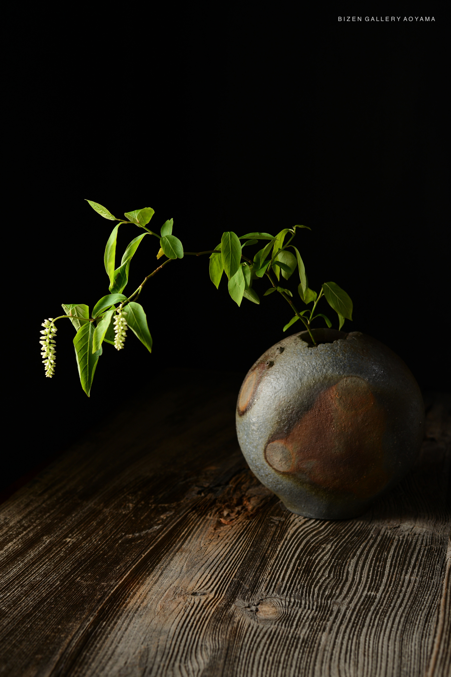 A round, gray pottery vase with a plant that has green leaves and small white flowers, set on a wooden surface against a dark background.