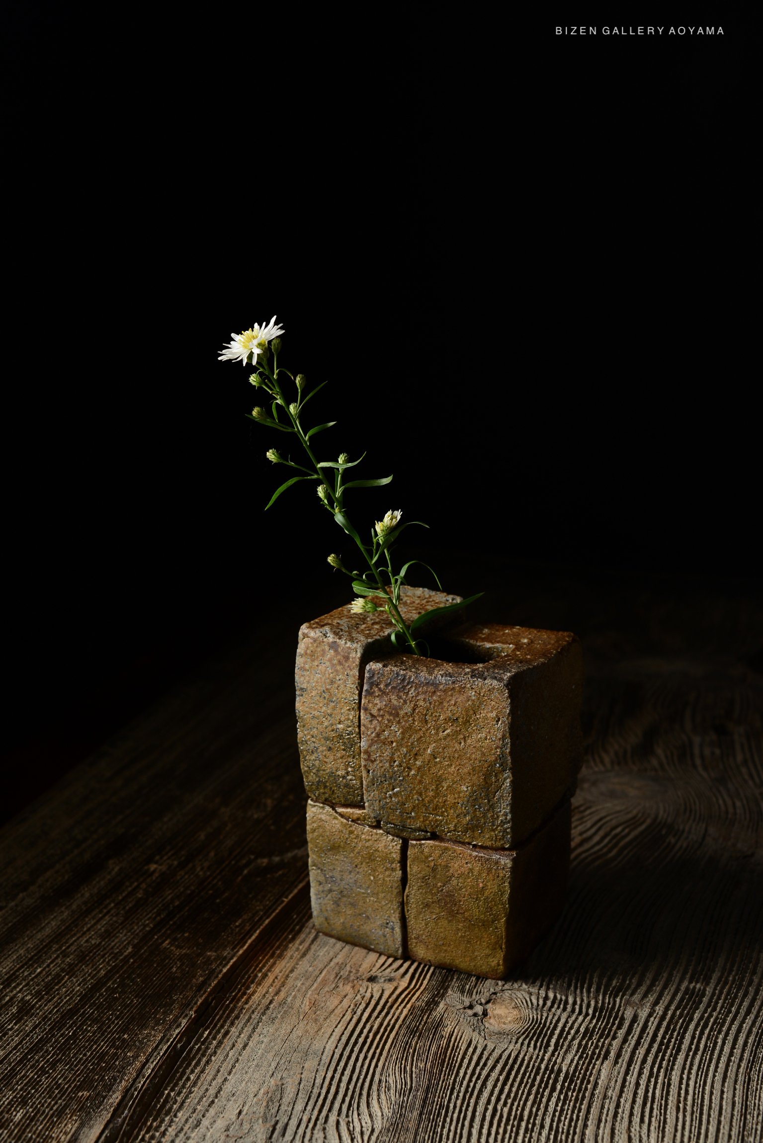 A simple stone flower vase holding a slender green plant with small white flowers, set against a dark background.