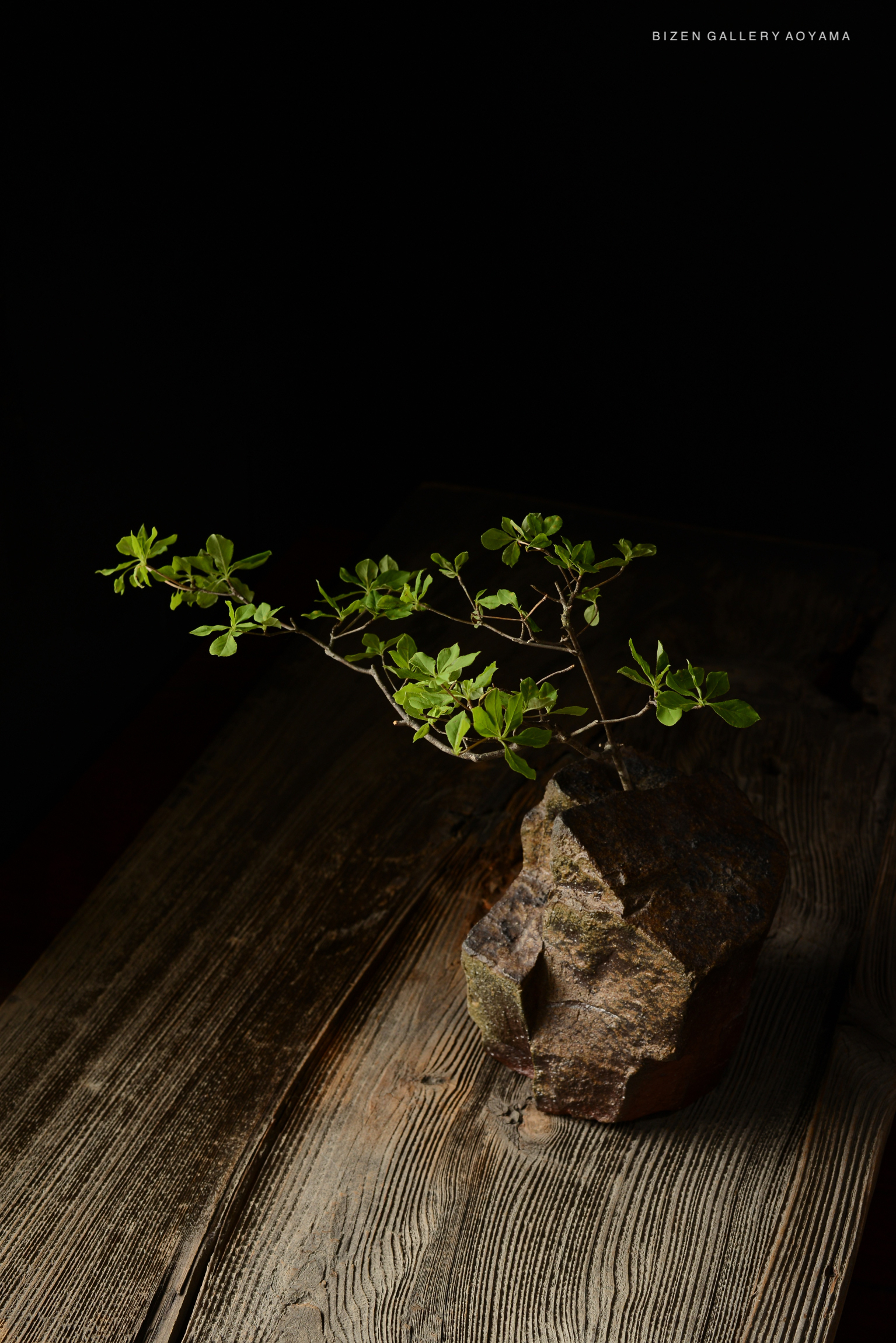 A small green plant in a rustic, textured pottery vase placed on a wooden surface, with a dark background.