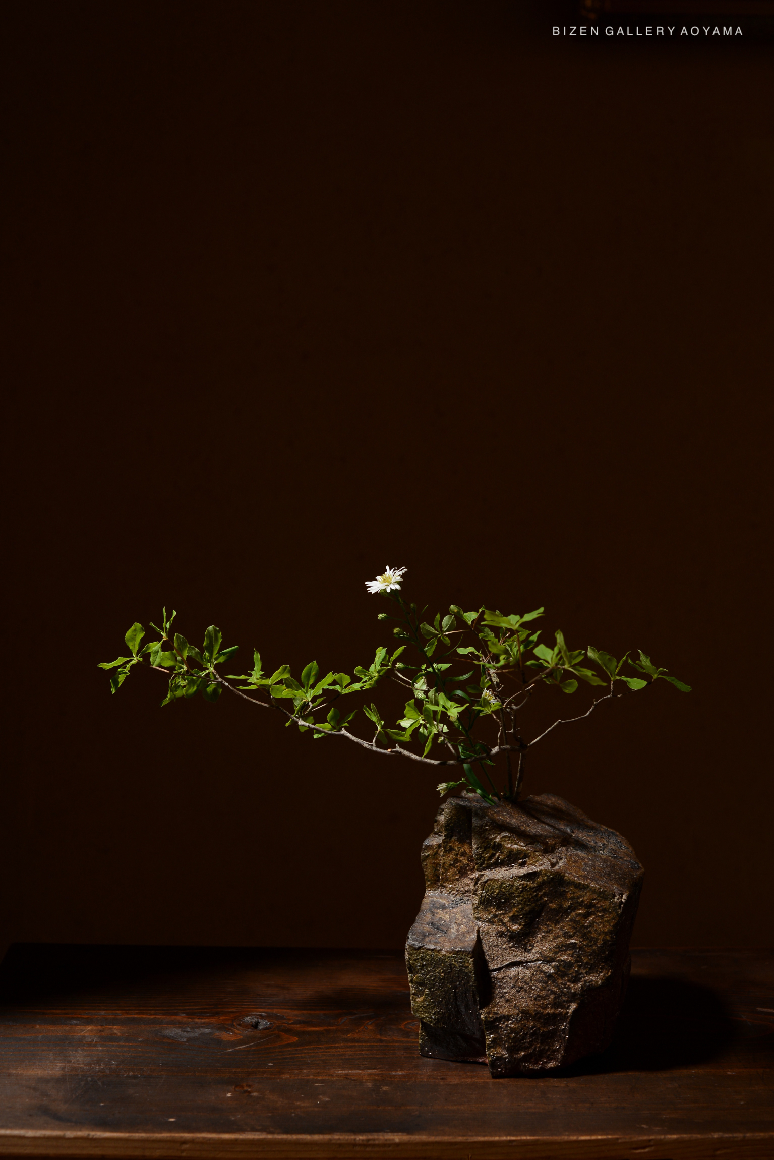 A small stone arrangement with green leaves and a single white flower, set on a wooden table against a dark background.