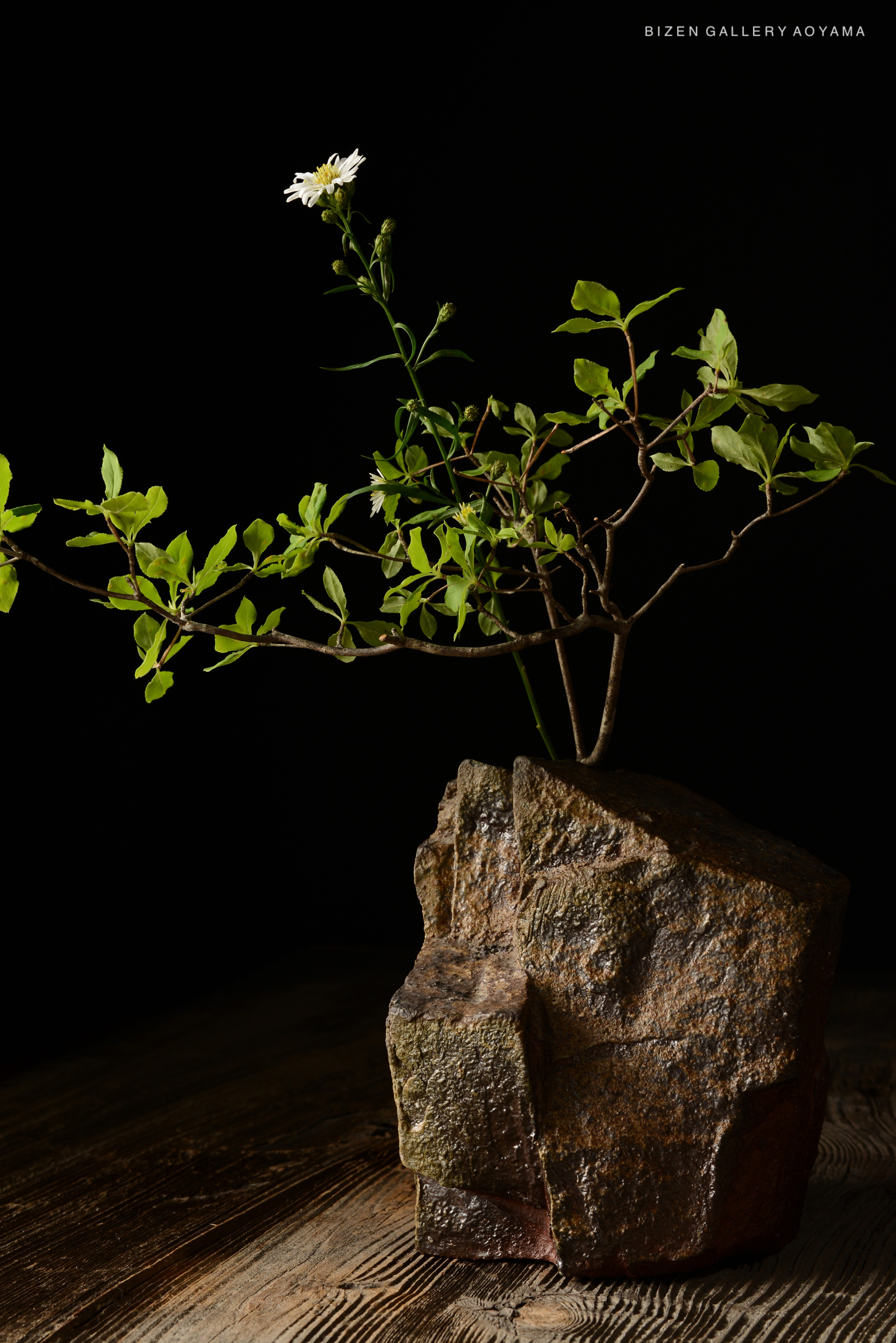 A small rock arrangement with a flowering plant and green leaves, photographed against a dark background.