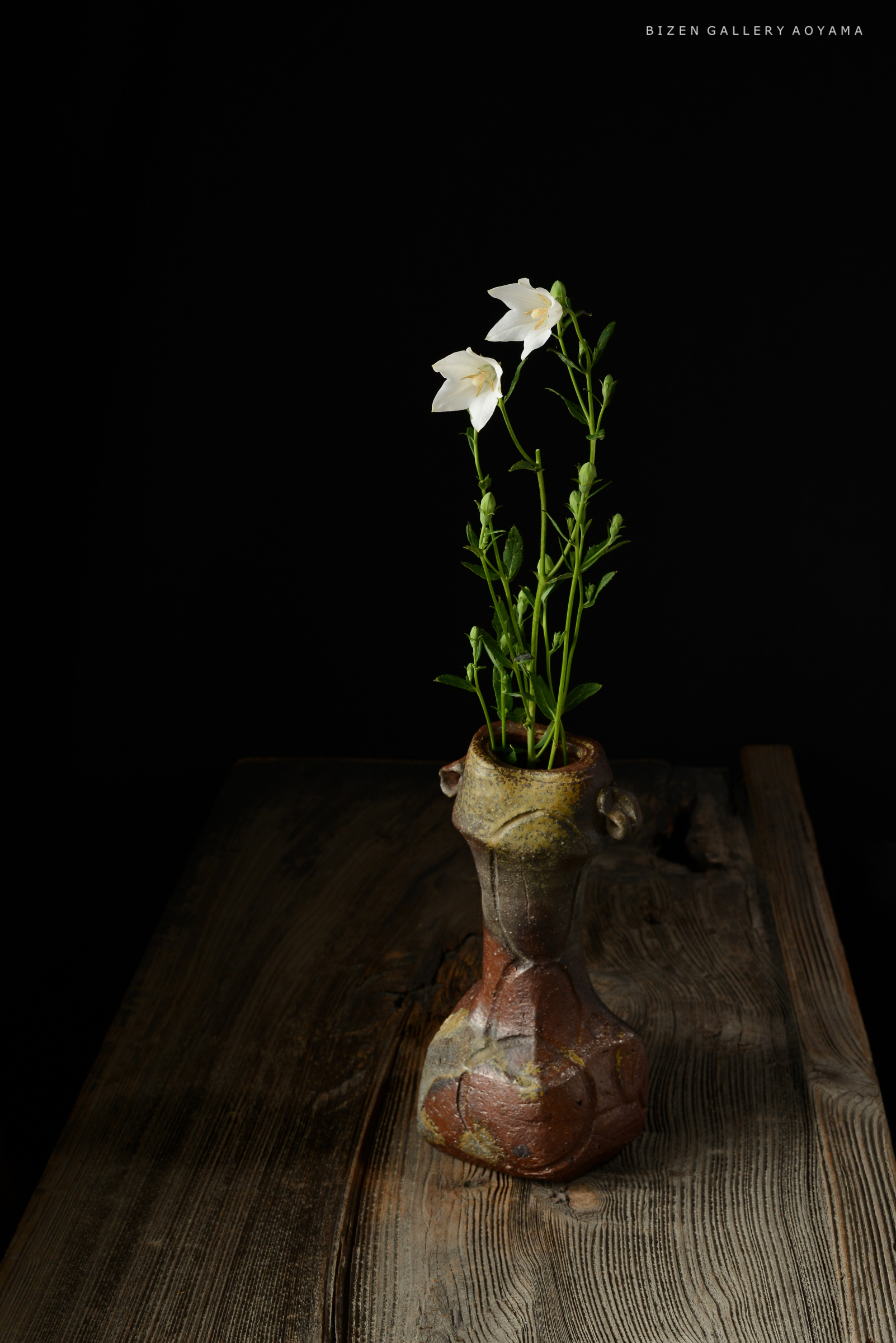 黒背景に白い花が2つ咲いている陶器の花瓶が置かれた画像。
