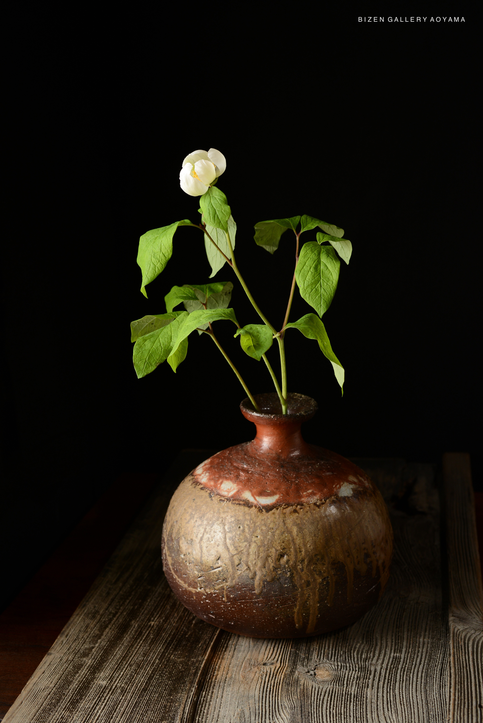 A Bizen O Kabura Tokkuri vase with a white flower and green leaves, set against a dark background.