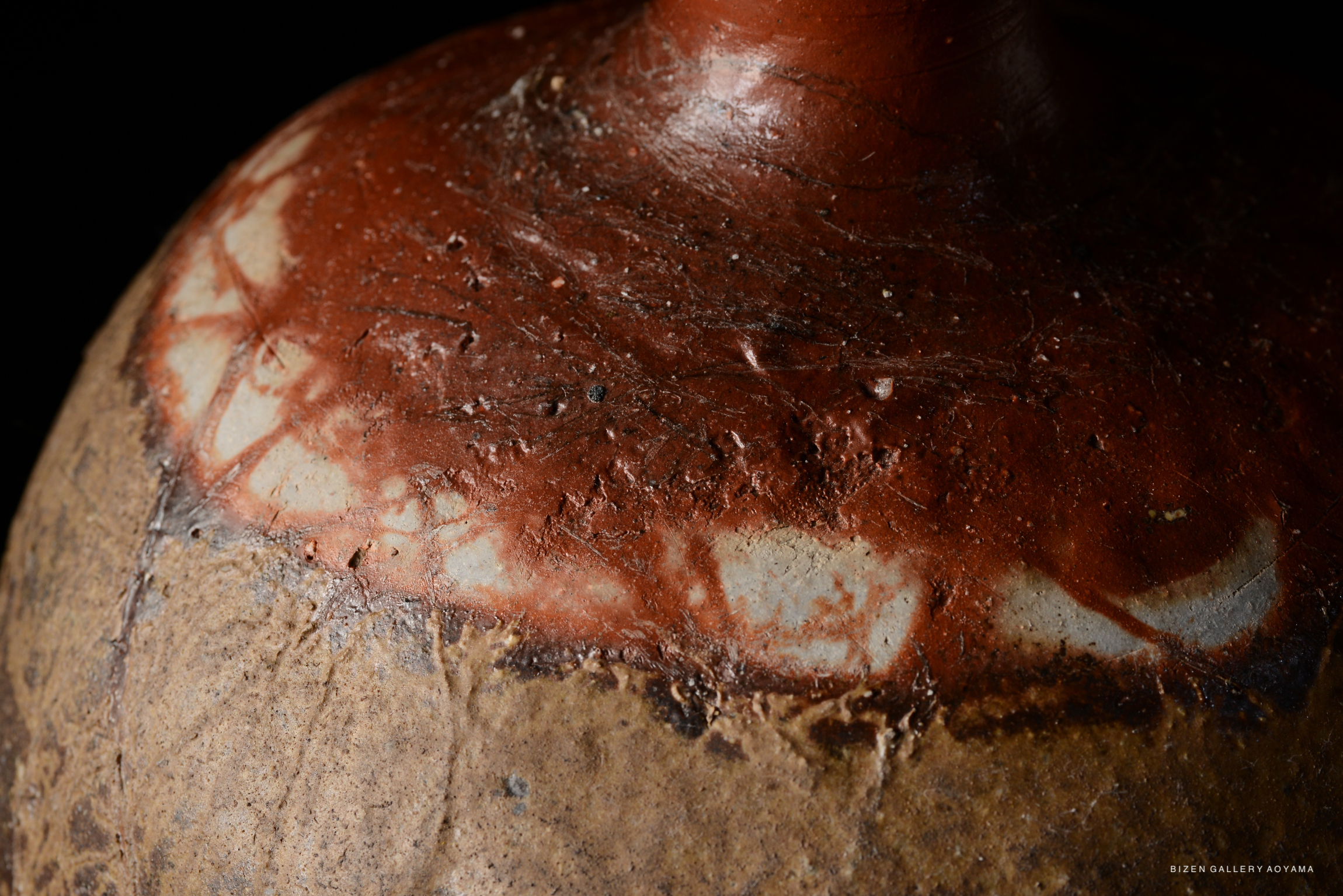 Close-up of a Bizen O Kabura Tokkuri showing textured surface and intricate earth tones.