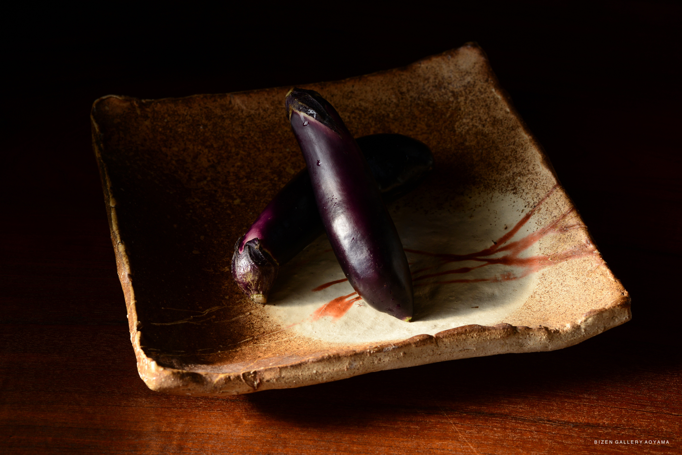Two purple eggplants placed on a textured, handmade ceramic plate with a minimalistic design.