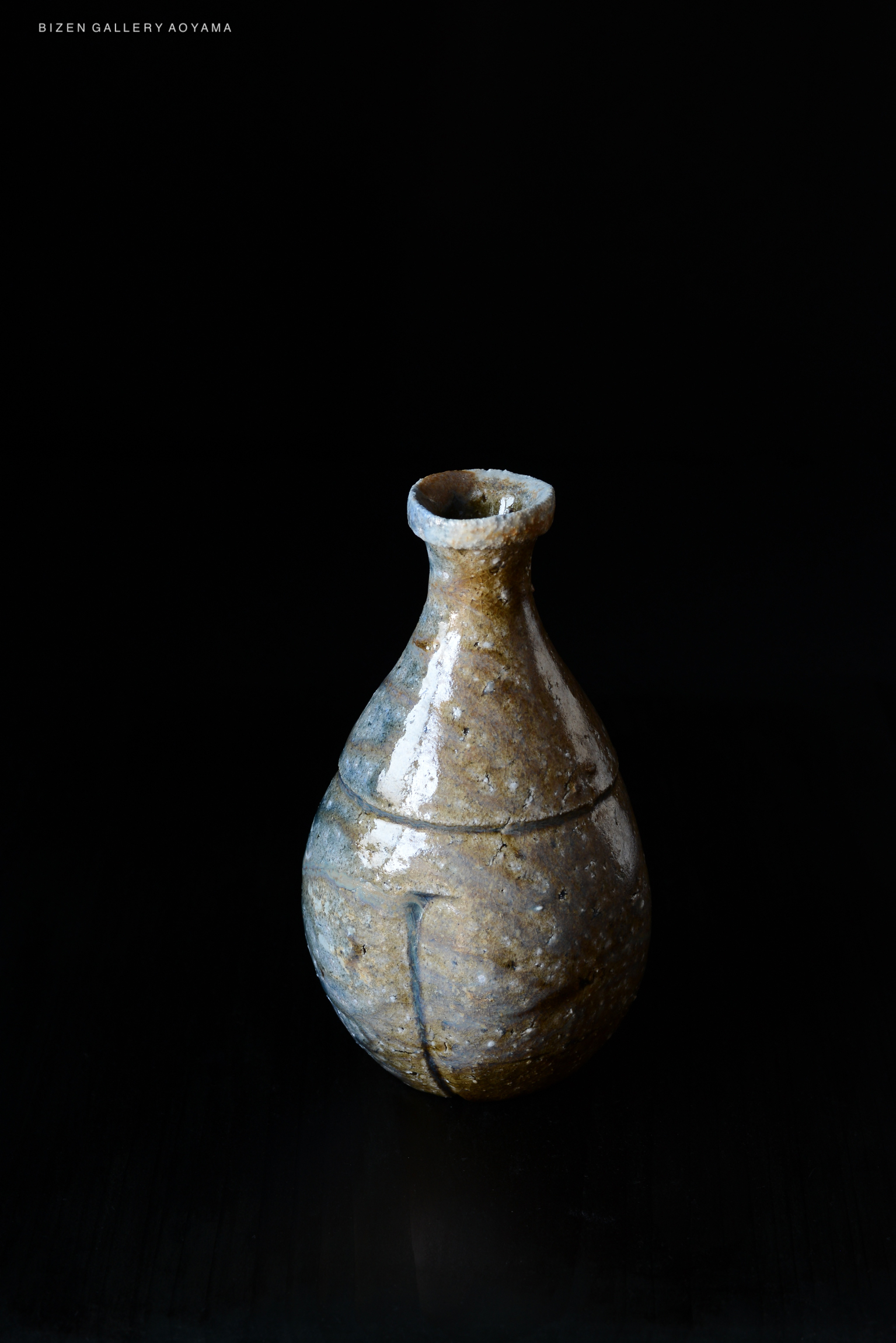 A ceramic vase with a rounded body and narrow neck, featuring a textured surface and natural earthy tones, set against a black background.