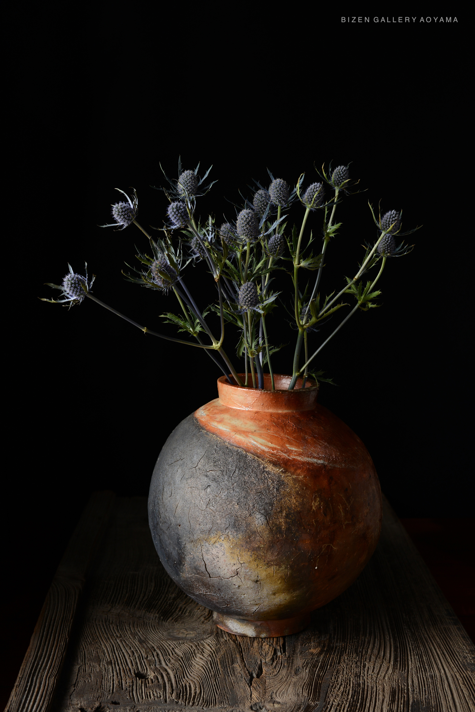 A decorative pottery vase with a unique finish, holding a bouquet of spiky purple flowers, set against a black background.
