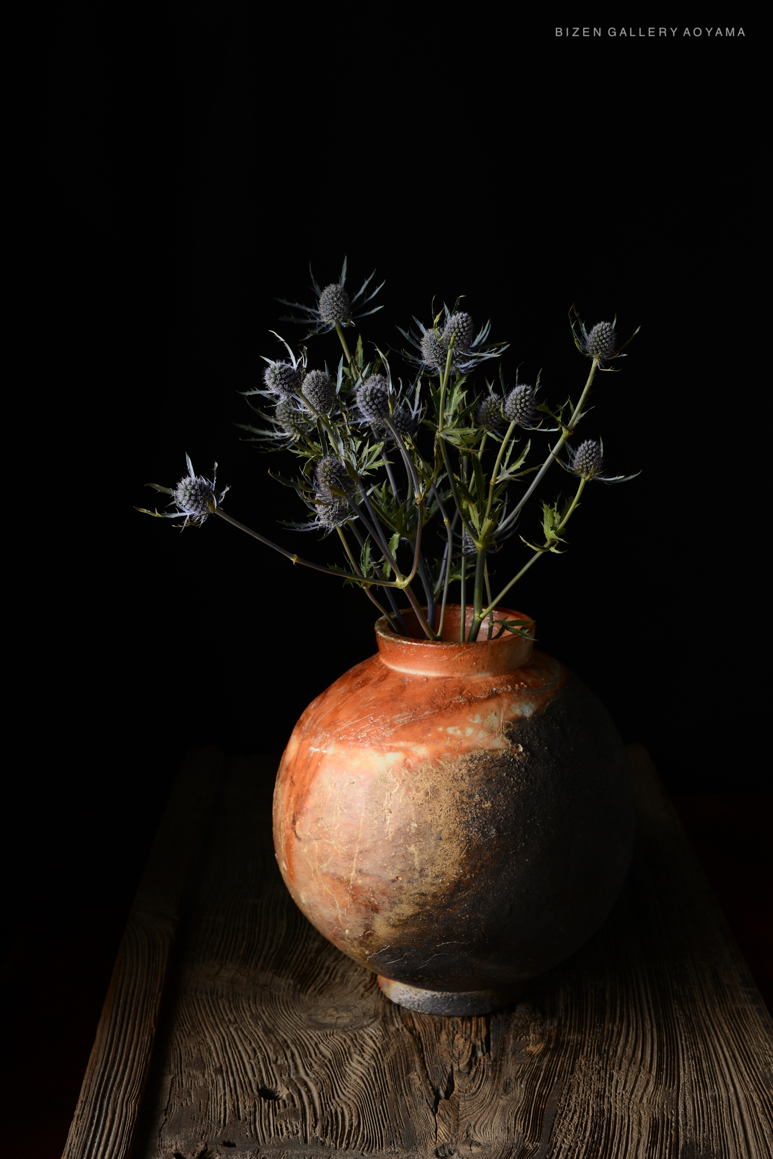 A rustic clay vase with a rounded shape, featuring a mix of earthy tones, sits on a wooden surface. The vase is filled with spiky plants against a dark background.