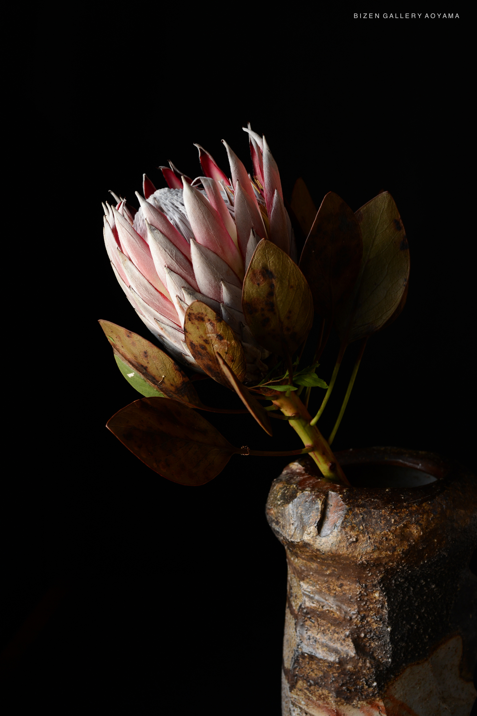 A close-up of a ceramic vase holding a flower arrangement, featuring predominantly pink leaves and green stems, set against a black background.