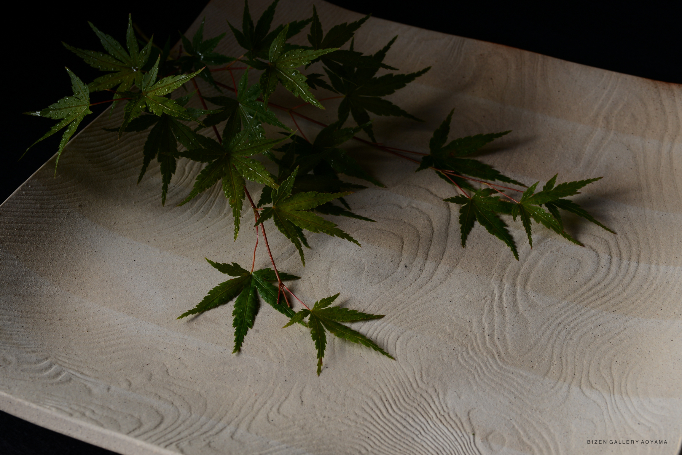 A close-up of a textured ceramic plate featuring a pattern of soft waves, adorned with fresh green maple leaves and droplets of water.
