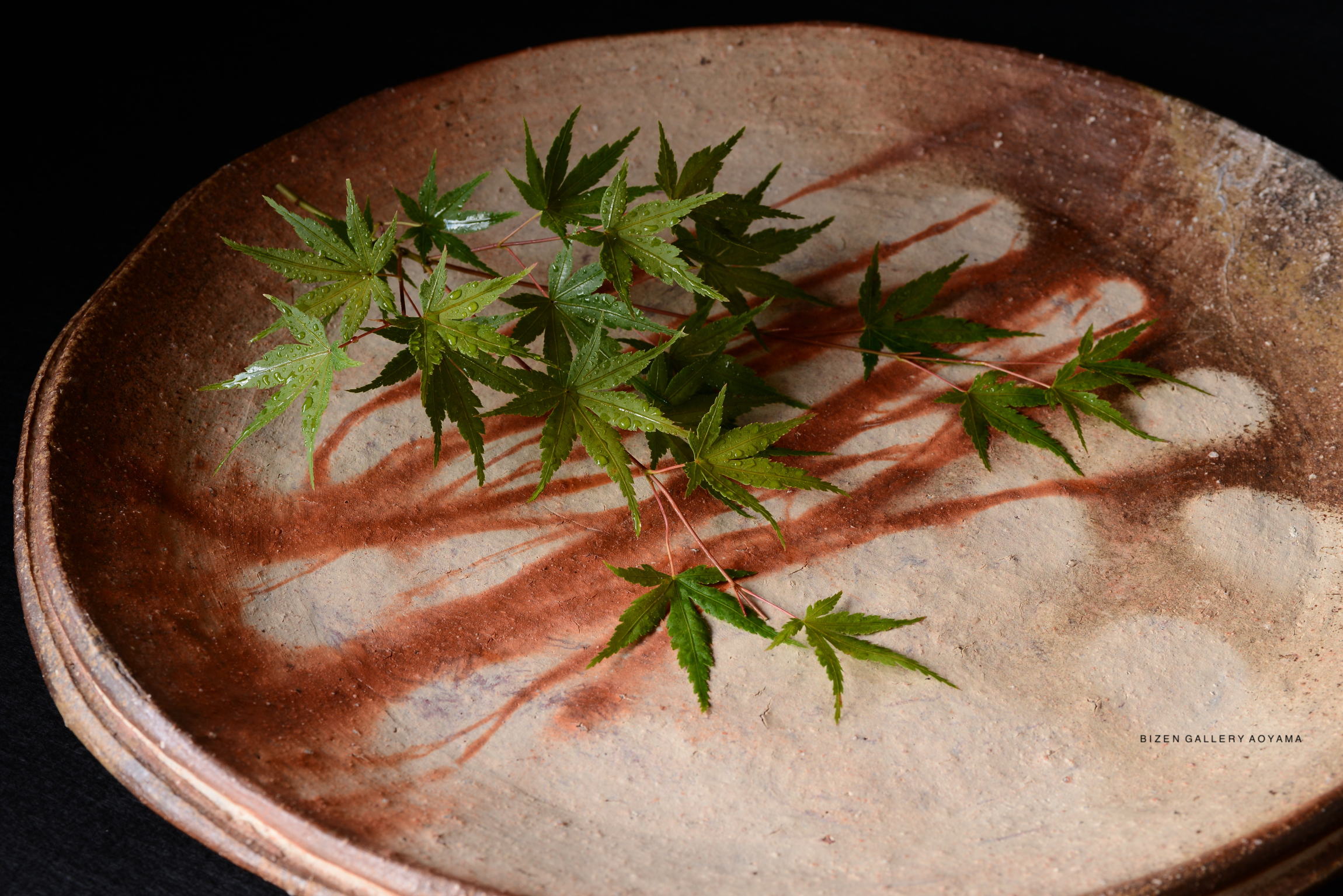 A decorative ceramic plate with brown streaks and green maple leaves arranged on it.