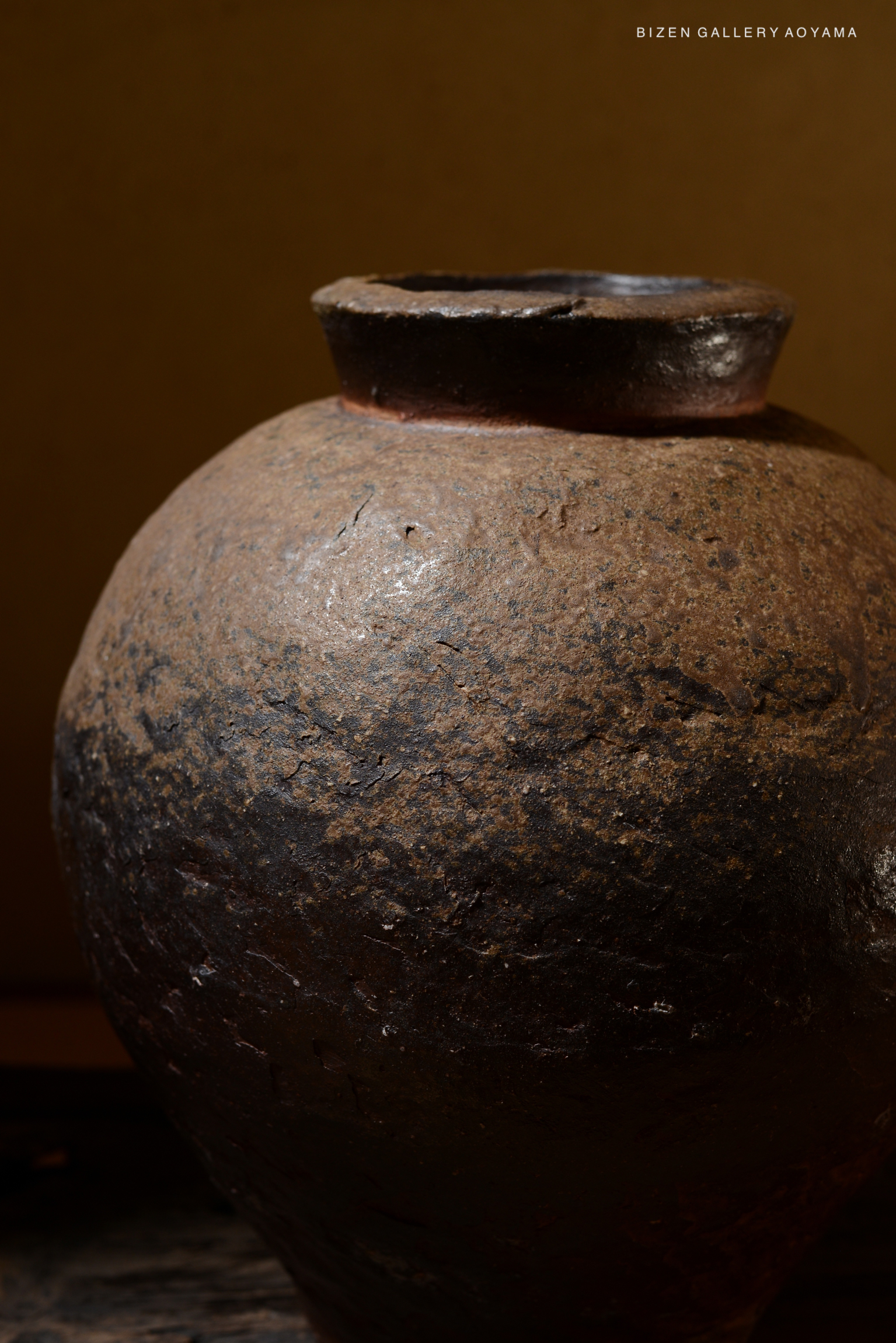 A close-up image of a dark, textured ceramic pot with a round body and a narrow neck, featuring a rustic finish typical of traditional Bizen pottery.