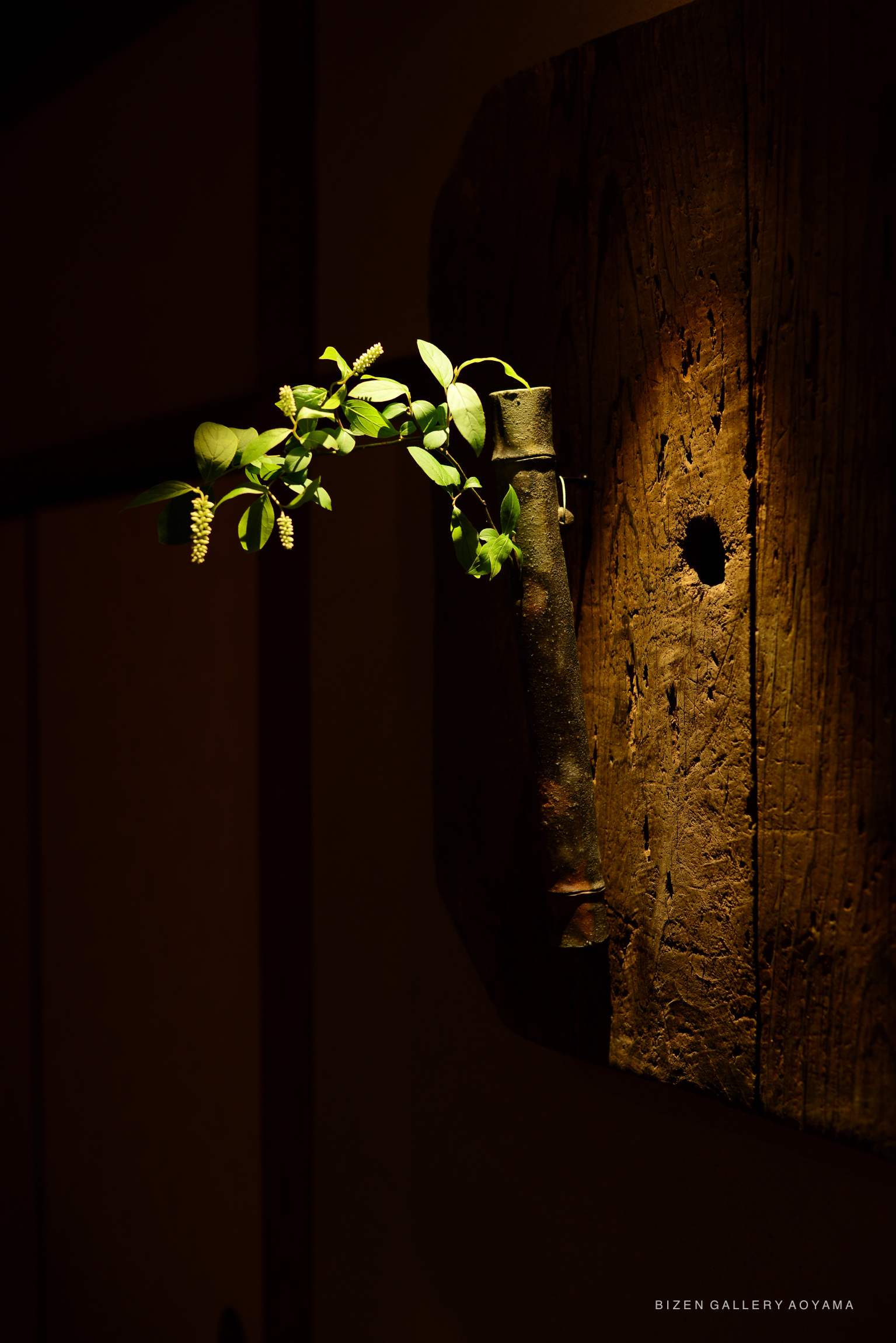A small green plant with leaves and buds is placed in an artistic holder, mounted on a rustic wooden wall, illuminated by a warm light.