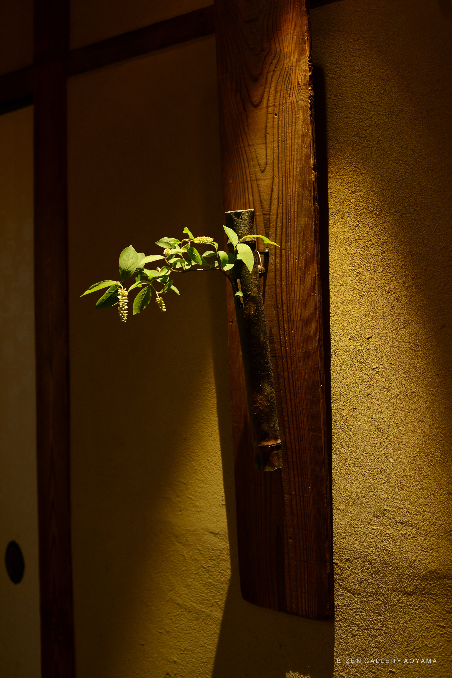 A small green branch with leaves and flowers is displayed in a rustic wooden holder mounted on a wall, illuminated by soft light.