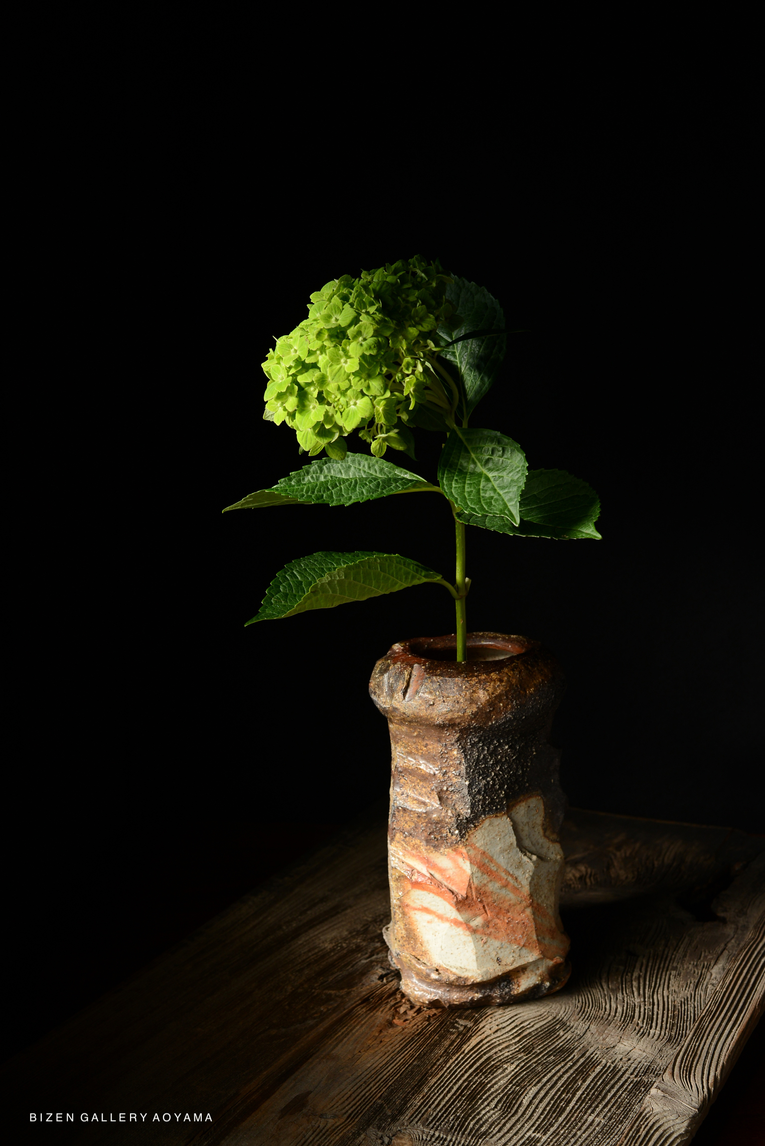 A ceramic vase with a natural, textured surface holds a green flower and leaves, set against a dark background.
