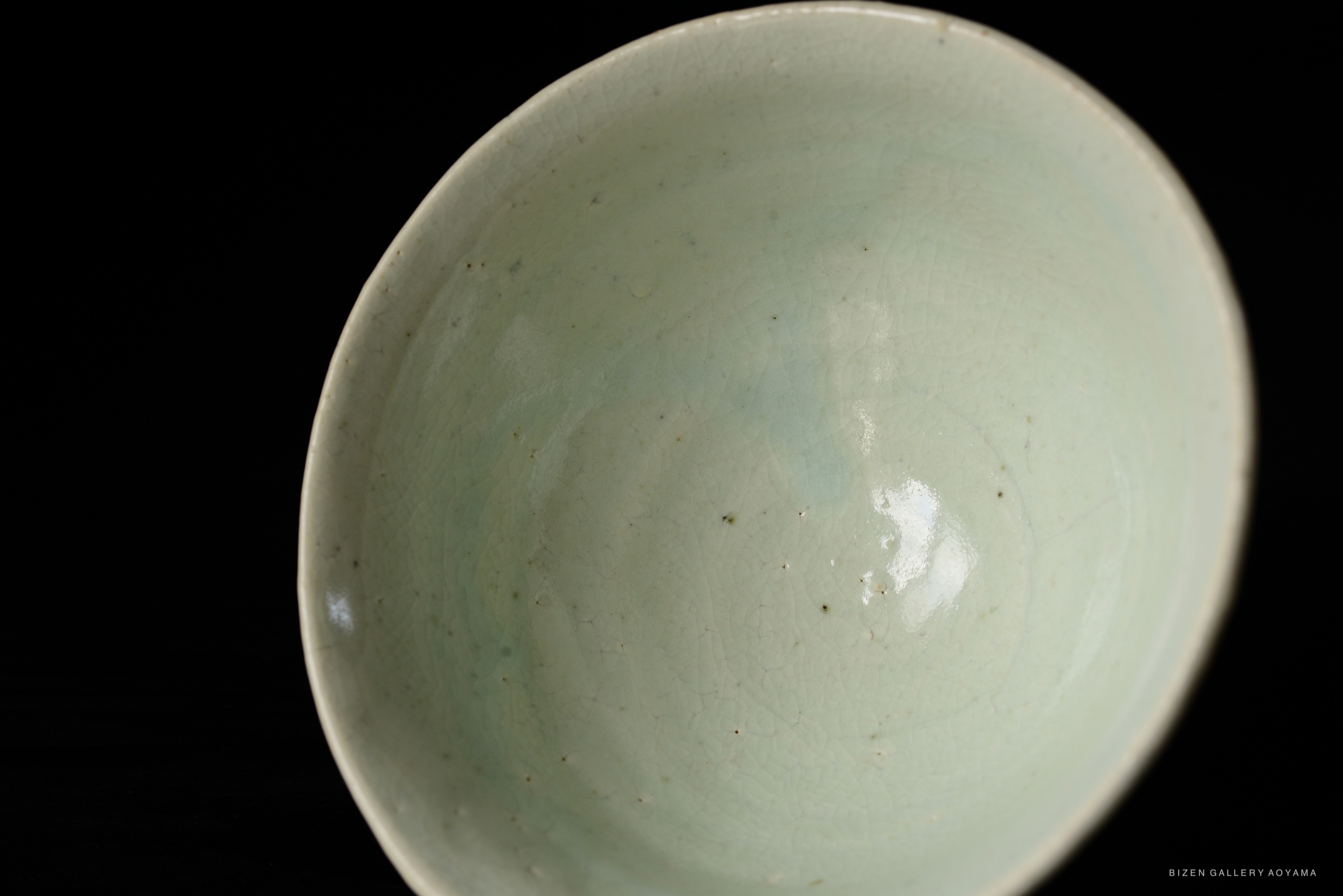 Close-up of an elegant light green ceramic bowl showcasing a smooth, glossy interior with subtle texture and tiny specks.