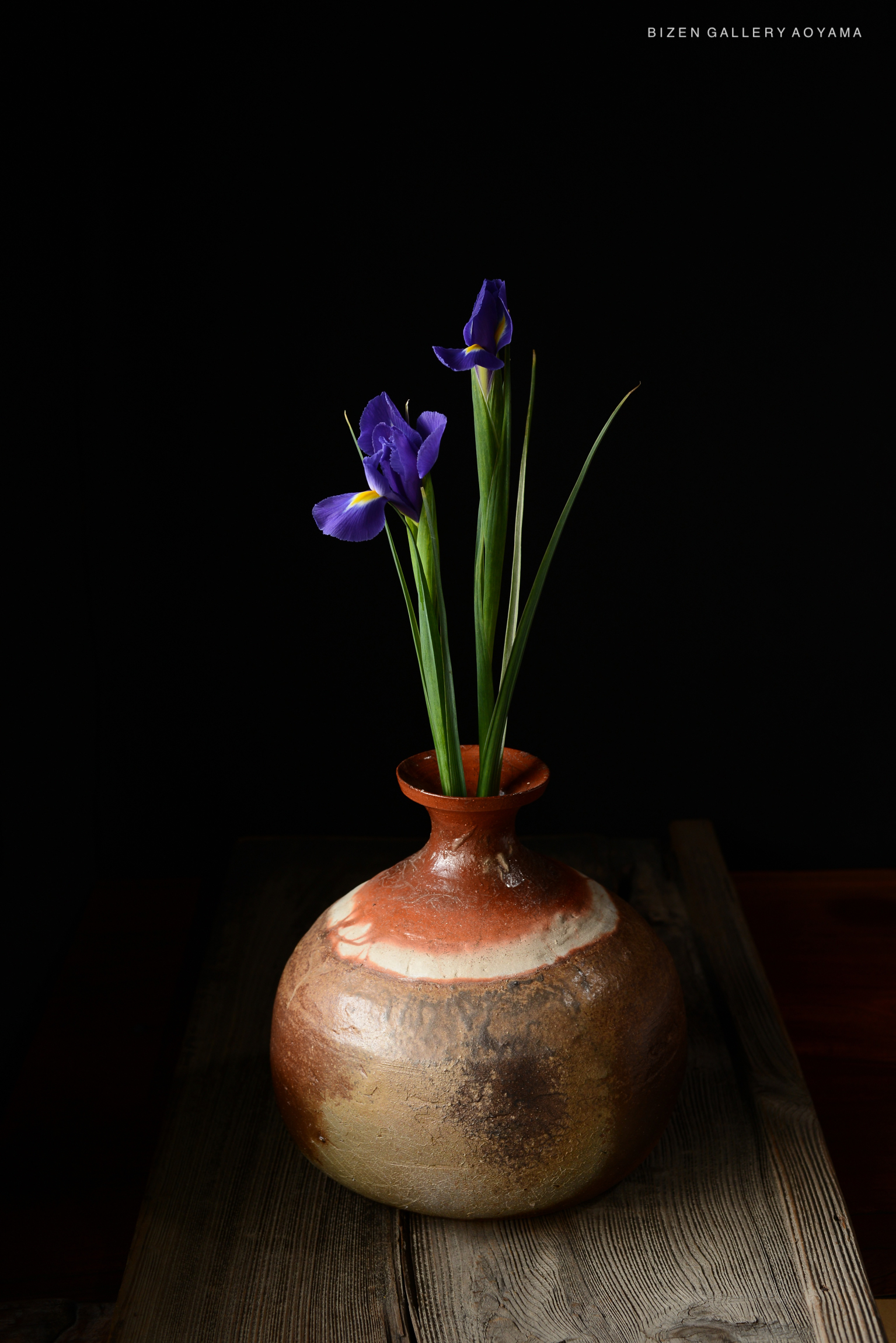 黒い背景に、紫色の花と緑の葉が入った陶器の花瓶が置かれている画像