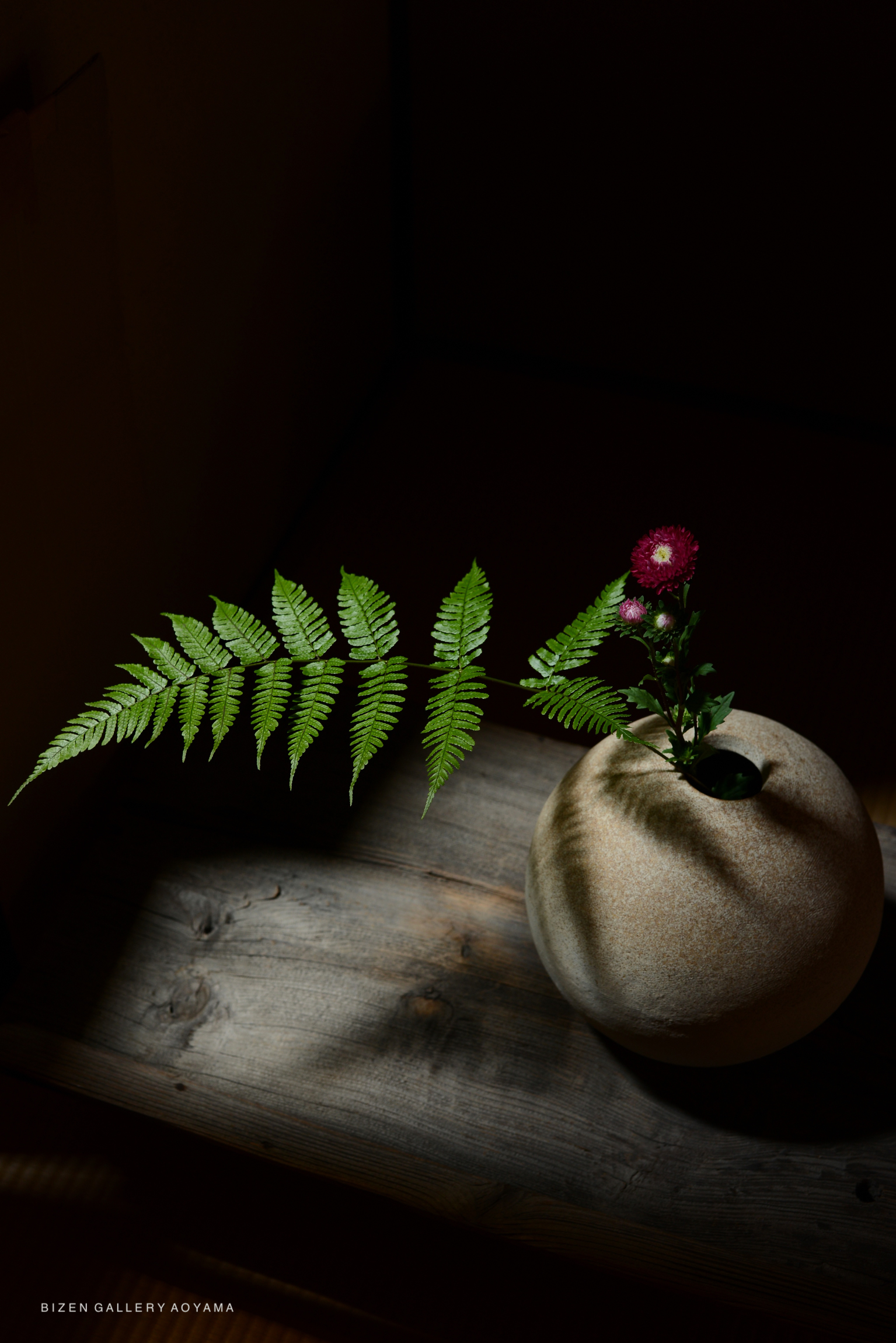 A round beige flower vase sits on a wooden surface, featuring a fern leaf and a small pink flower arranged in the vase. Soft lighting casts shadows on the vase and surface.