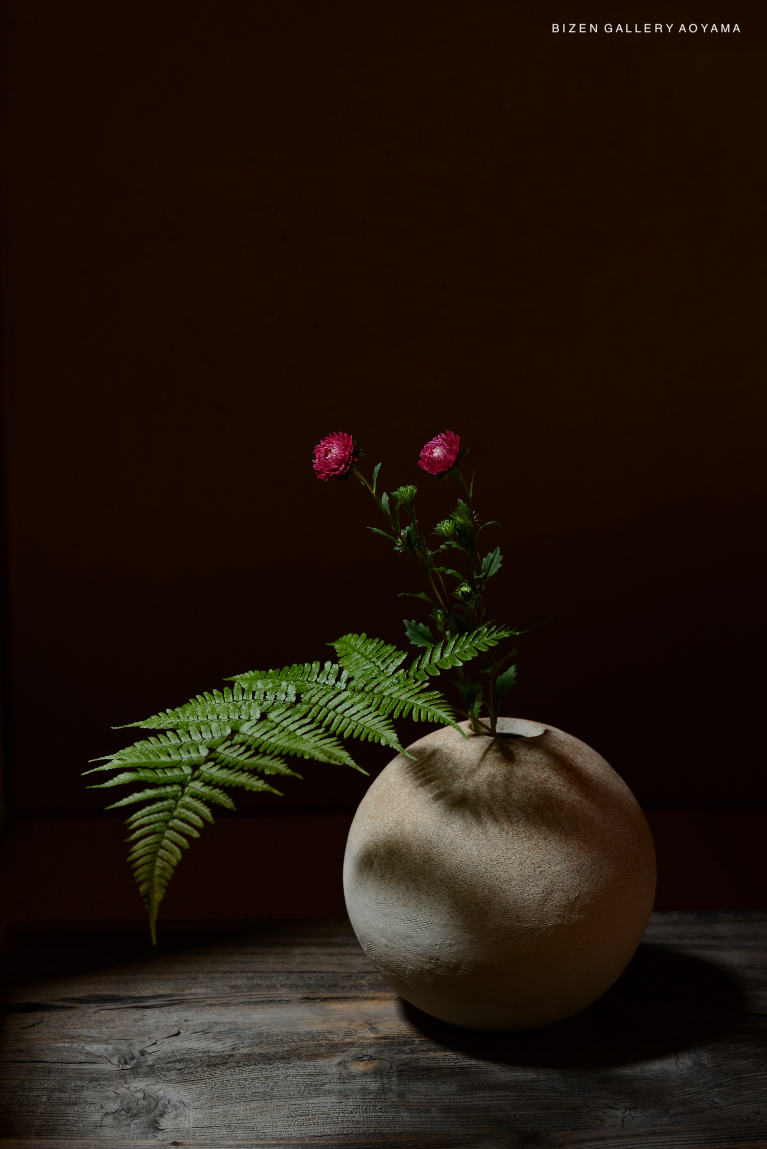 A round Bizen ceramic vase with a smooth surface, holding green ferns and pink flowers against a dark background.