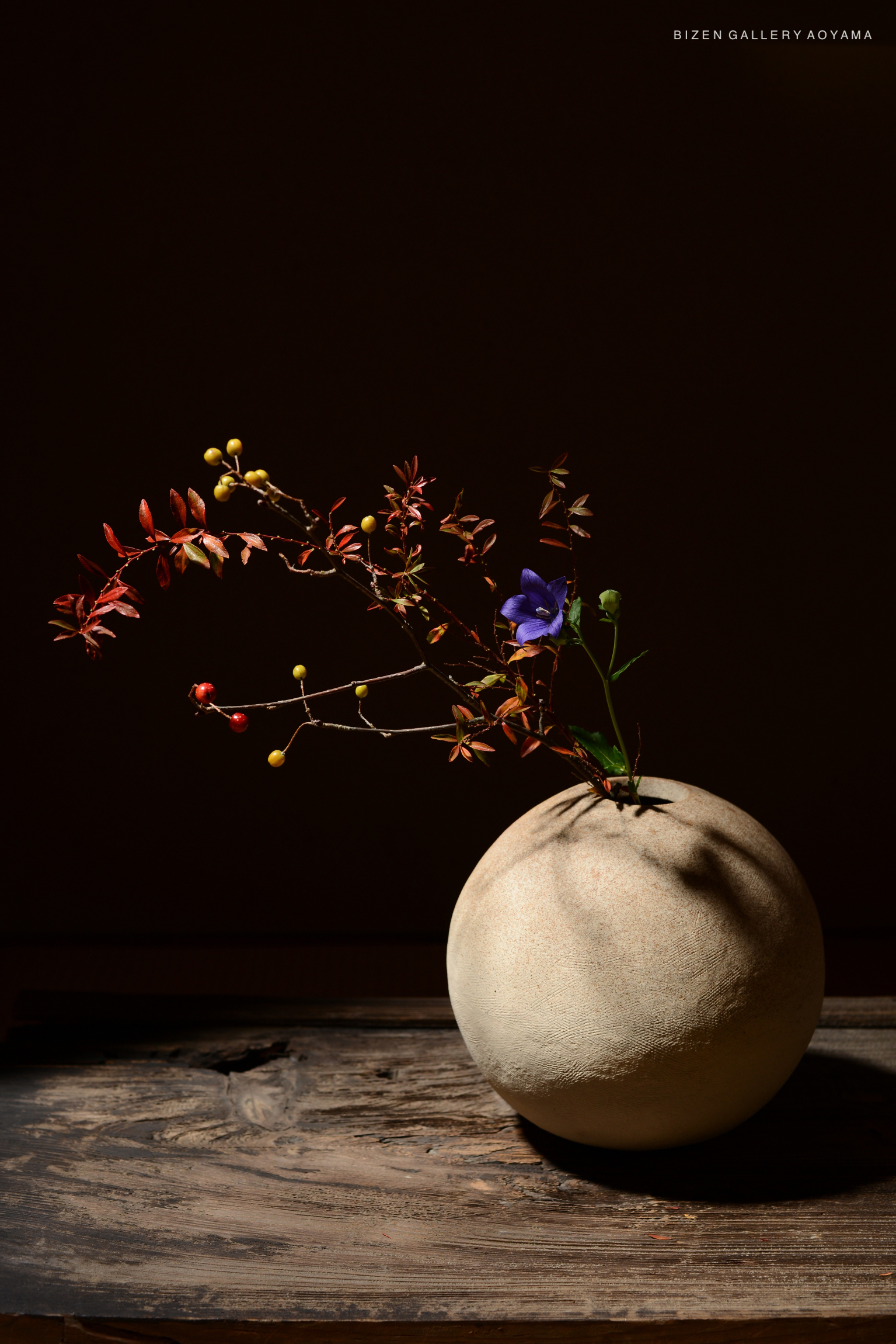 A round Bizen pottery vase titled 'SORA' by Sei Hoshino, featuring a decorative arrangement of various colorful branches and flowers against a dark background.