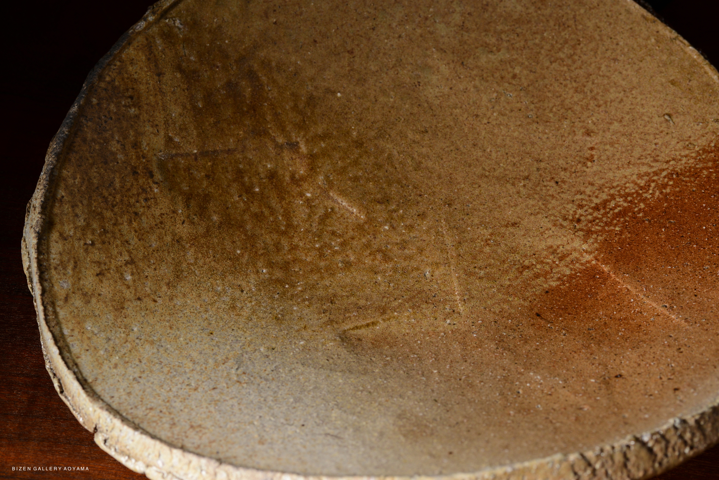 Close-up of a rustic ceramic plate with a textured surface and earthy tones.
