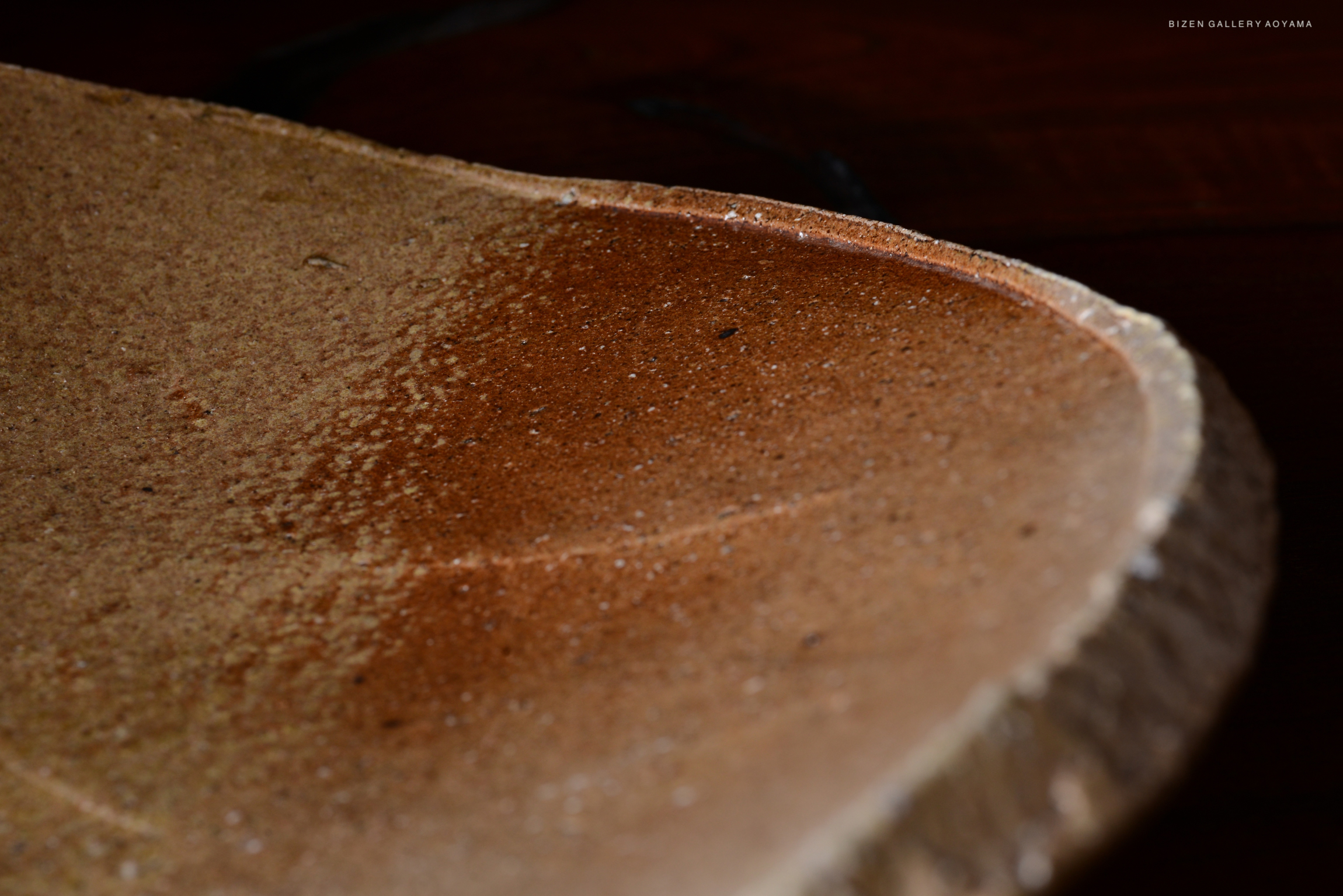 Close-up of a textured ceramic surface with a smooth, glossy finish in earthy tones.