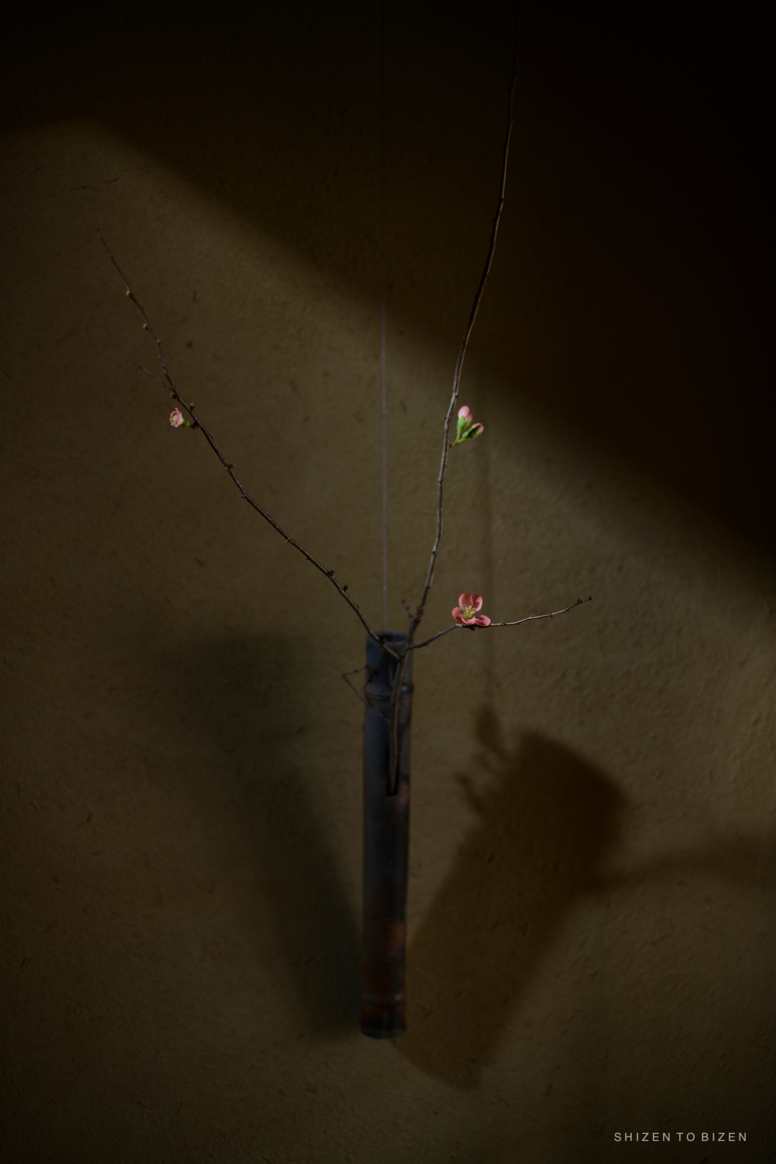 A simple bamboo design wall vase with branches and flowers, casting a shadow on a textured wall.