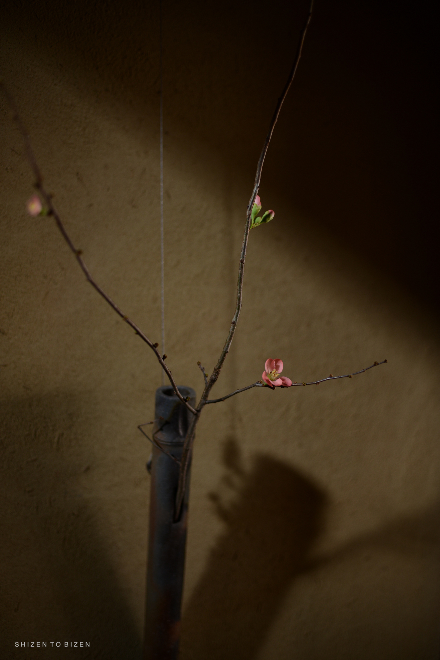 A simple bamboo wall decoration featuring a branch with pink flowers against a textured brown wall.