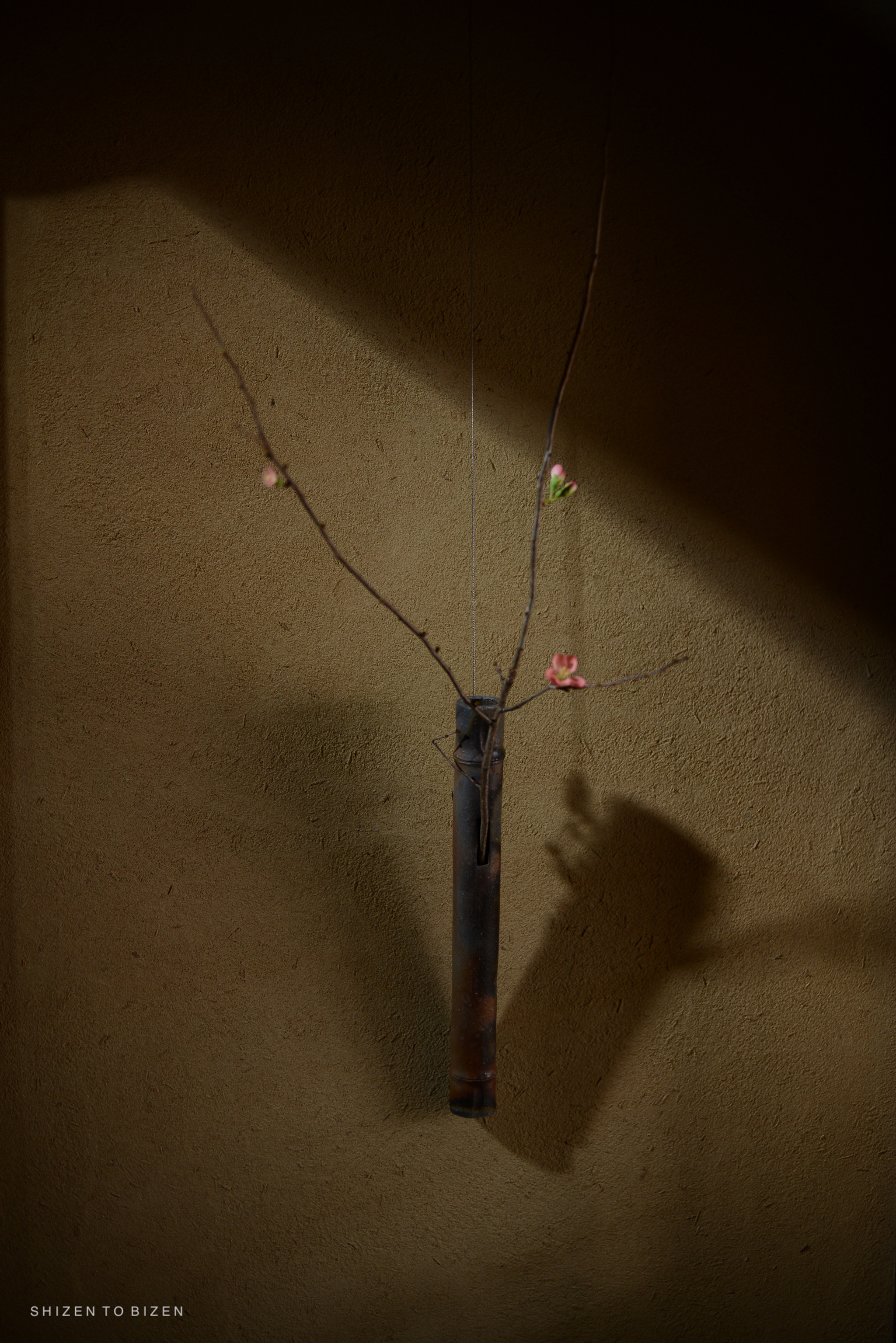 A simple bamboo flower vase with branches and blossoms, hanging against a textured wall.