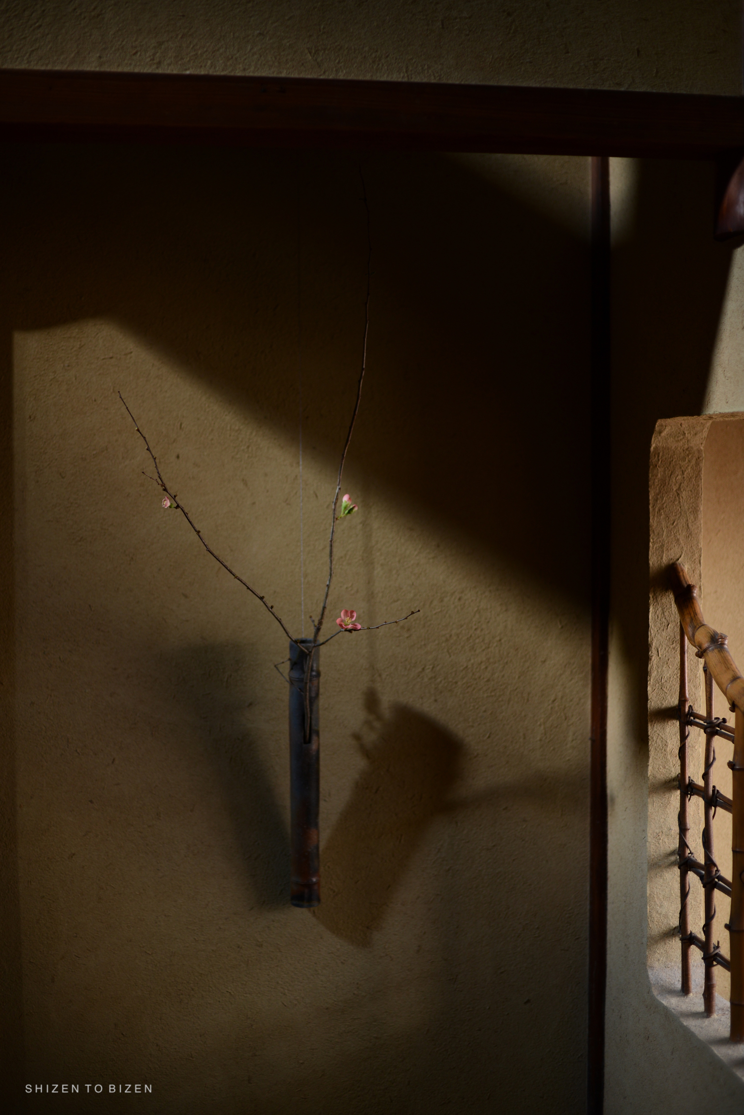 A simple bamboo wall vase holding delicate branches with small flowers, casting shadows on a textured wall.