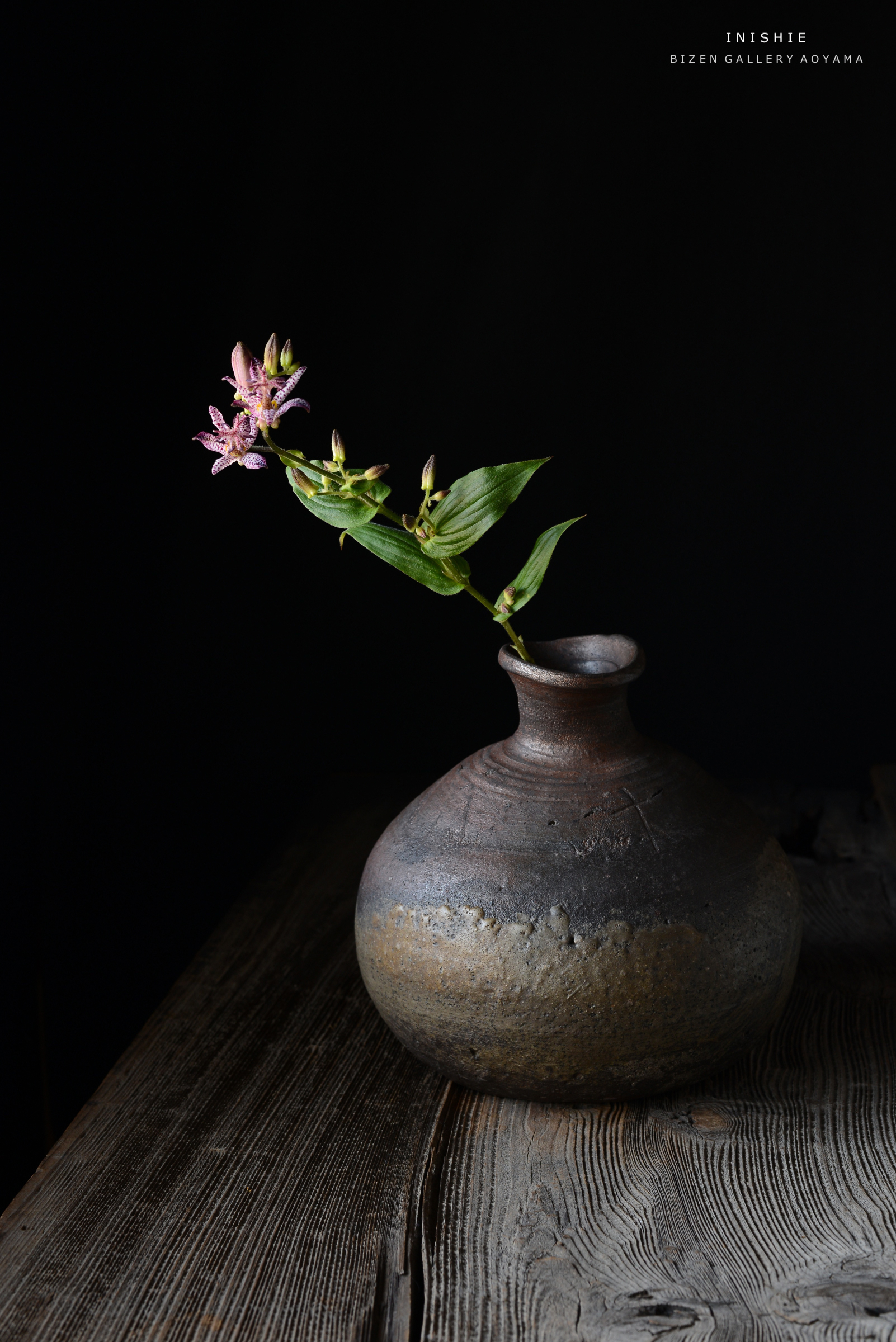 黒い背景の前に置かれた陶器の花瓶と、その中に生けられた紫色の花