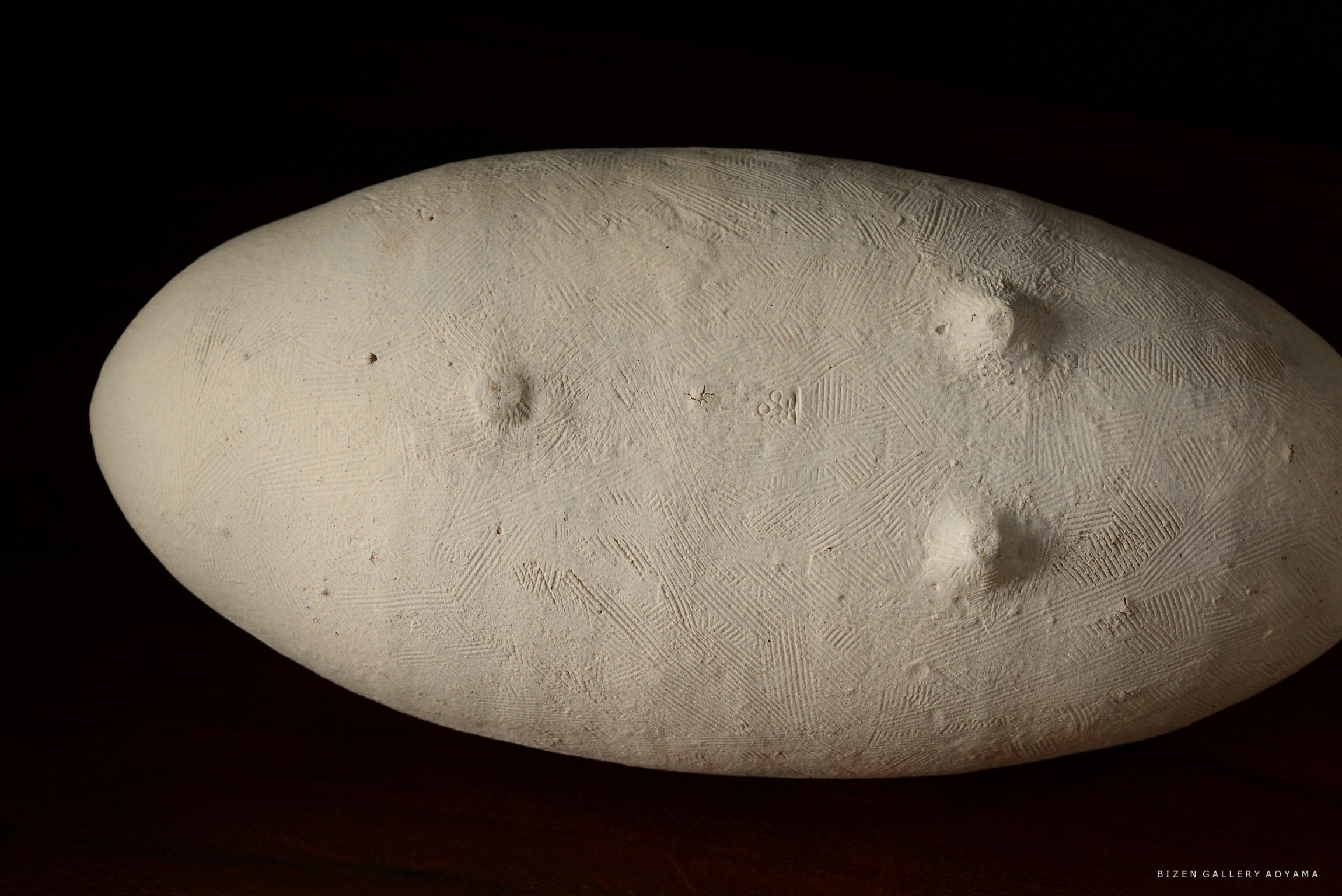 白い粘土で作られた卵形のオブジェクト、表面には微細な模様があり、いくつかの突起が見られる。