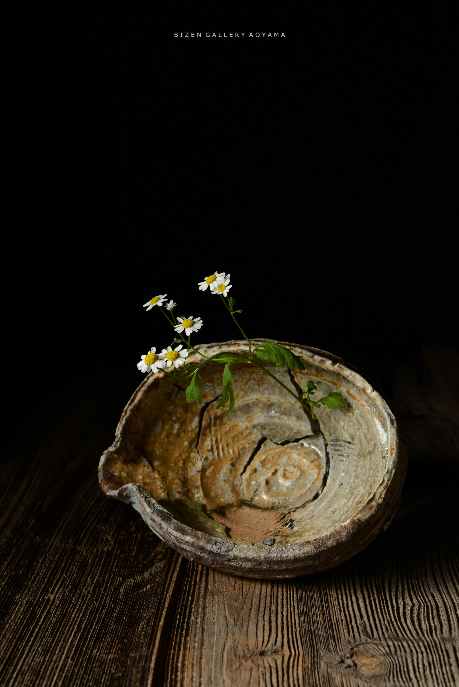 暗い背景の中に古い陶器の皿と、そこから伸びる白い花が置かれている写真です。