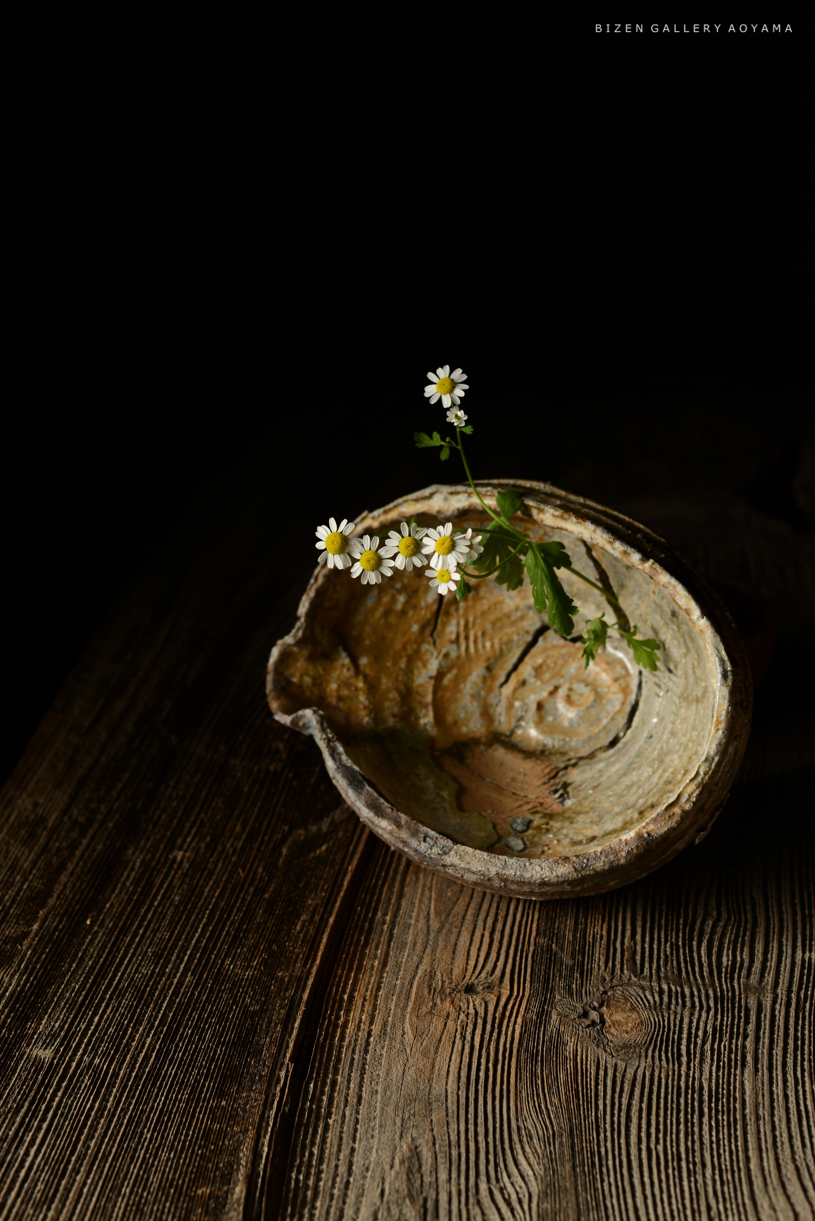 陶器の皿に小さな白い花が飾られている写真