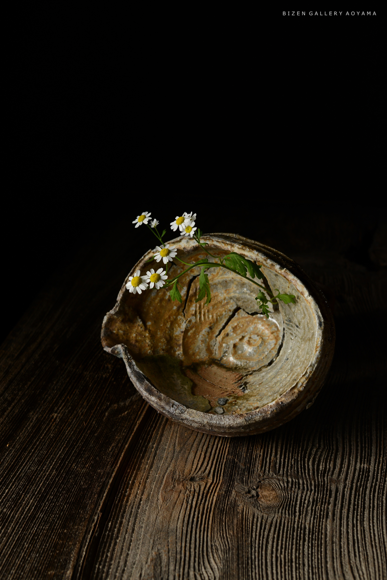 黒い背景の前に置かれた土器の中に挿された白い花と緑の葉。