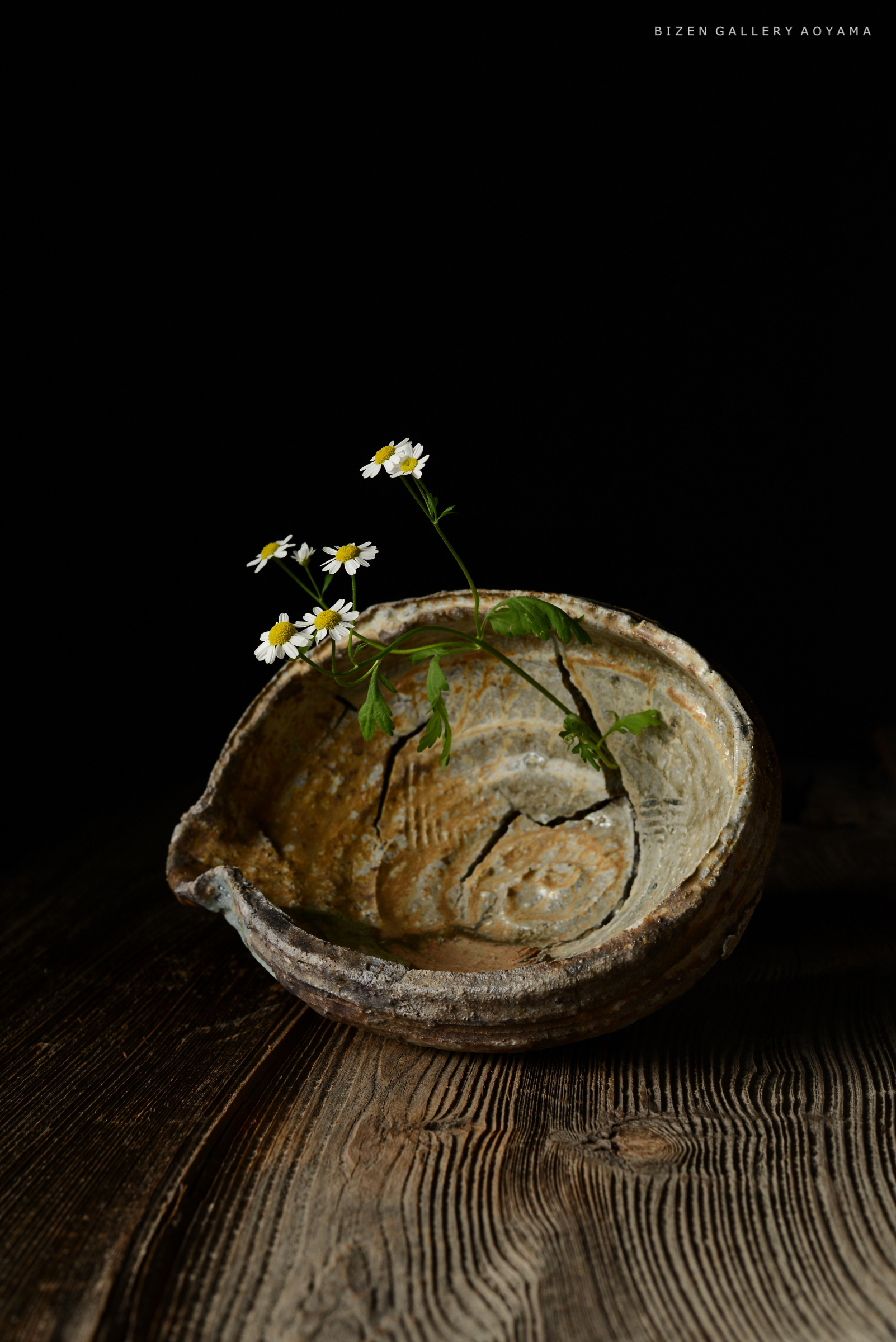 黒い背景の前に置かれた古い陶器の心に白い花が生けられている様子