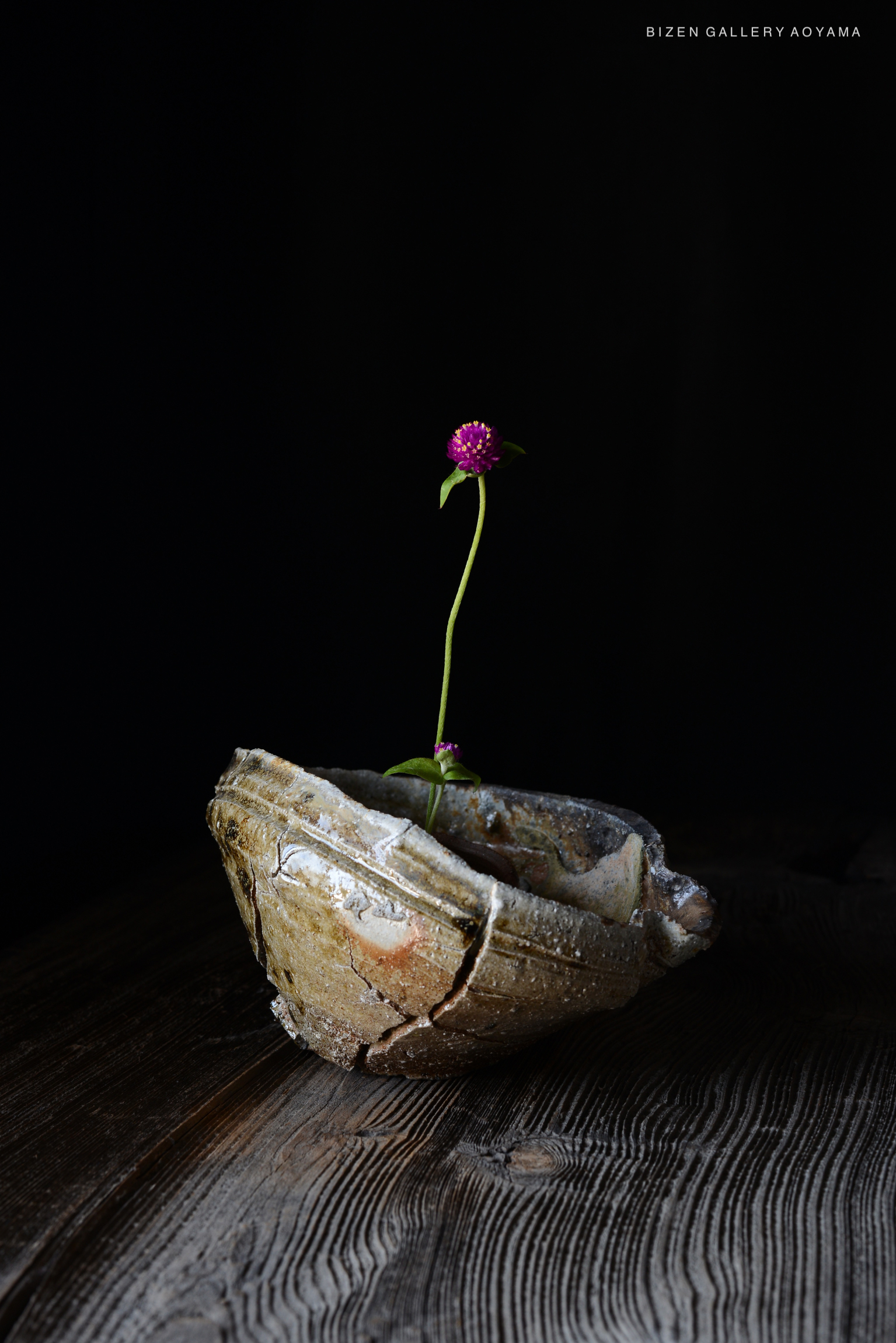 黒い背景の上に、細長い茎に紫色の花が一輪咲いている壊れたビゼン焼きの器