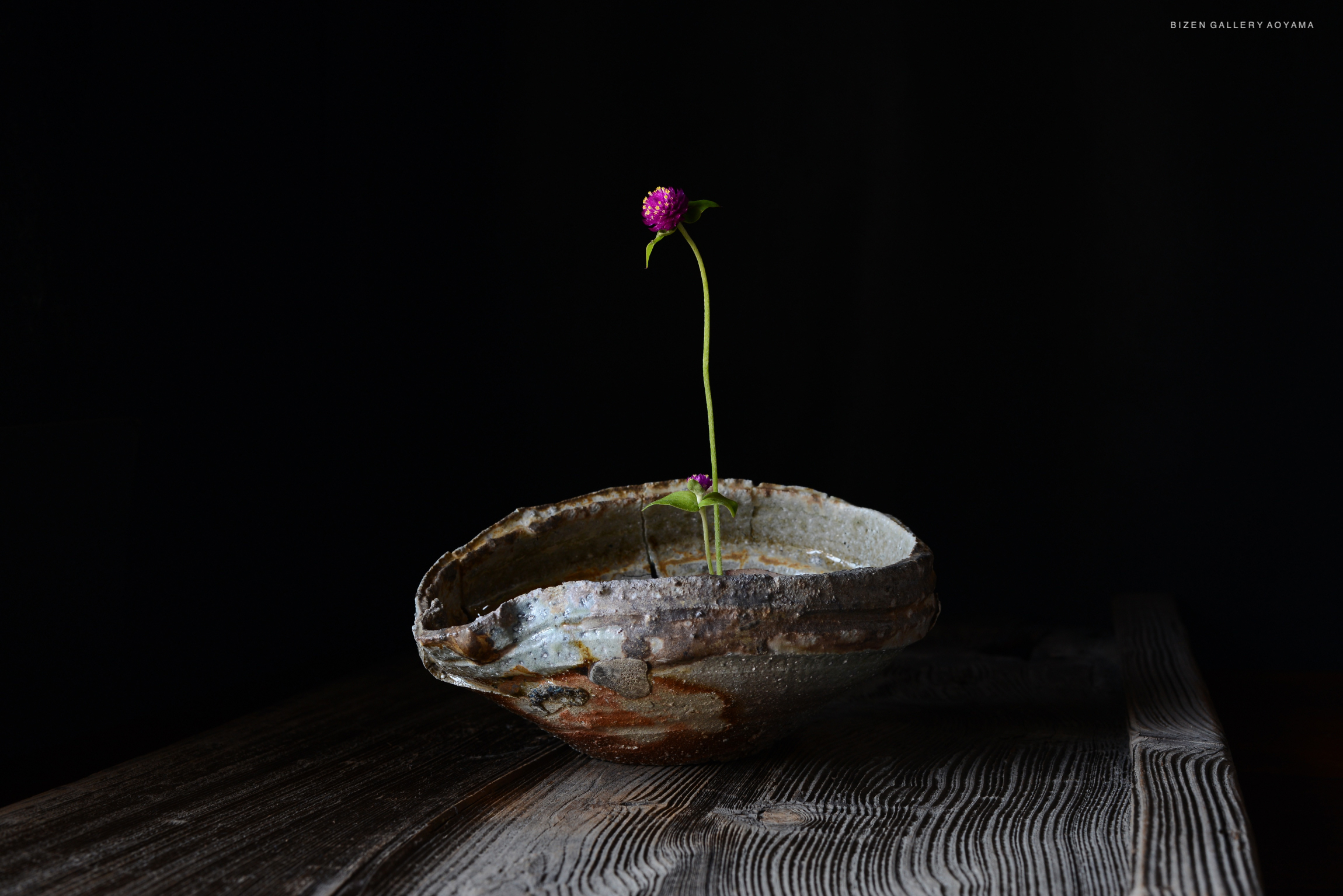 黒い背景の前に置かれた陶器の器に、一本の紫色の花が生けられている様子