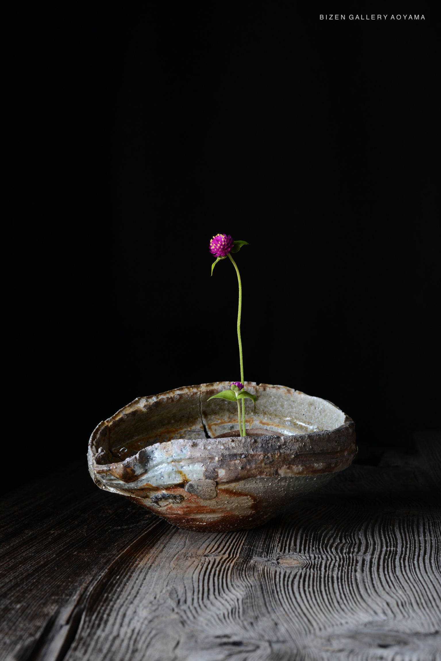 黒い背景に立つ一輪の花と陶器の花瓶