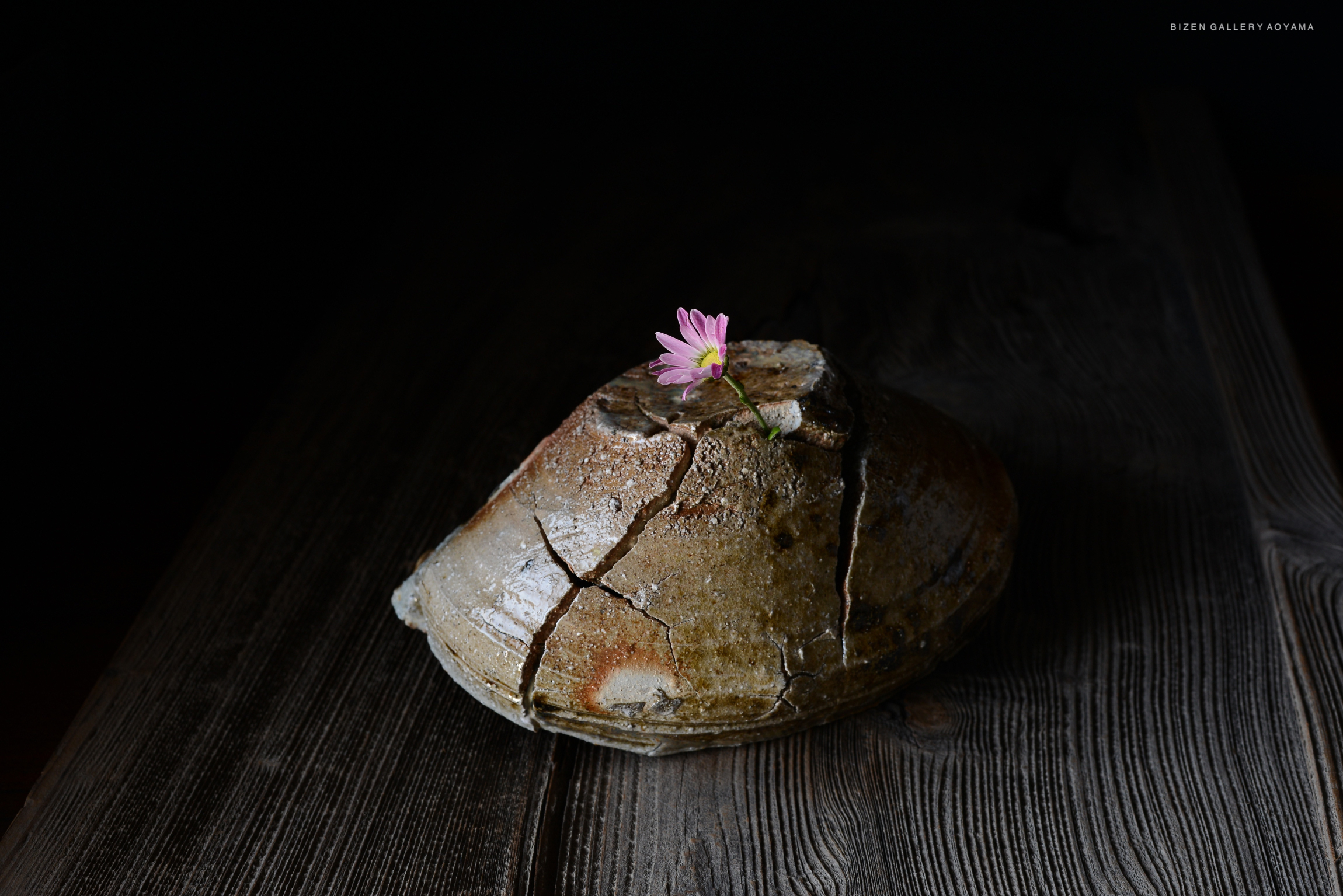黒背景の上に置かれた割れた陶器の器の上に、ピンクの花が生けられている