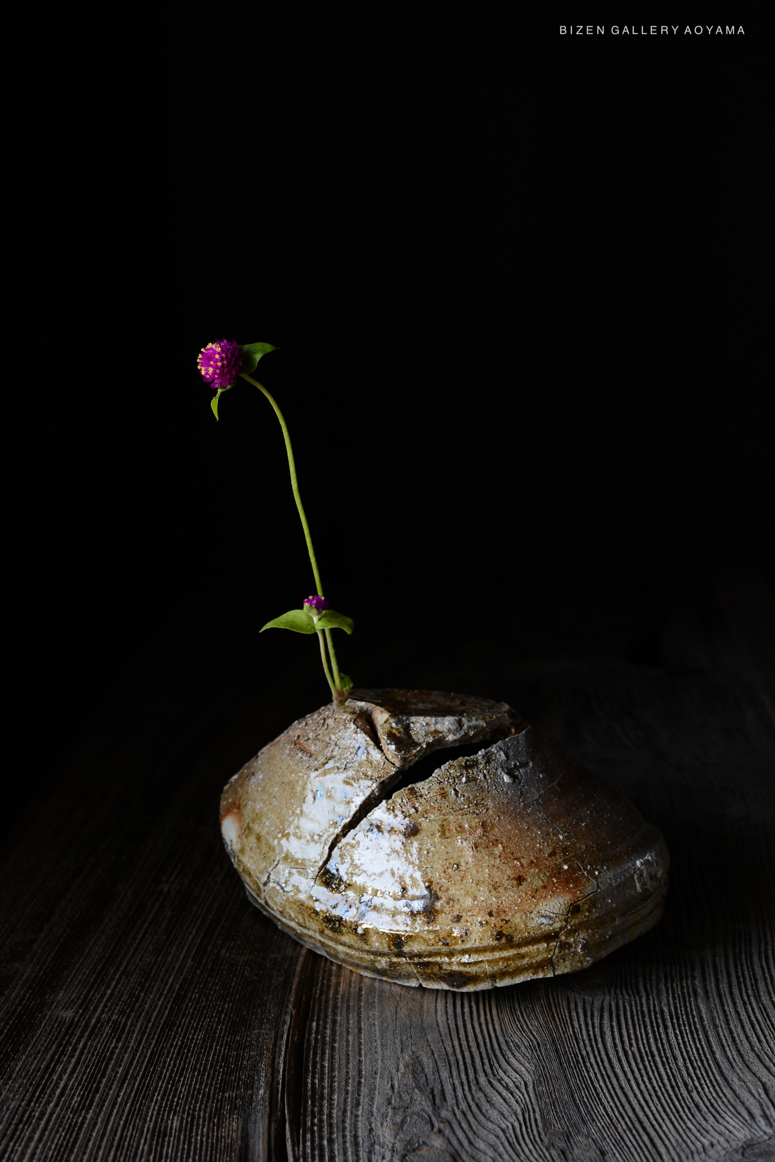 黒い背景に花を活けたひびの入った陶器の壺