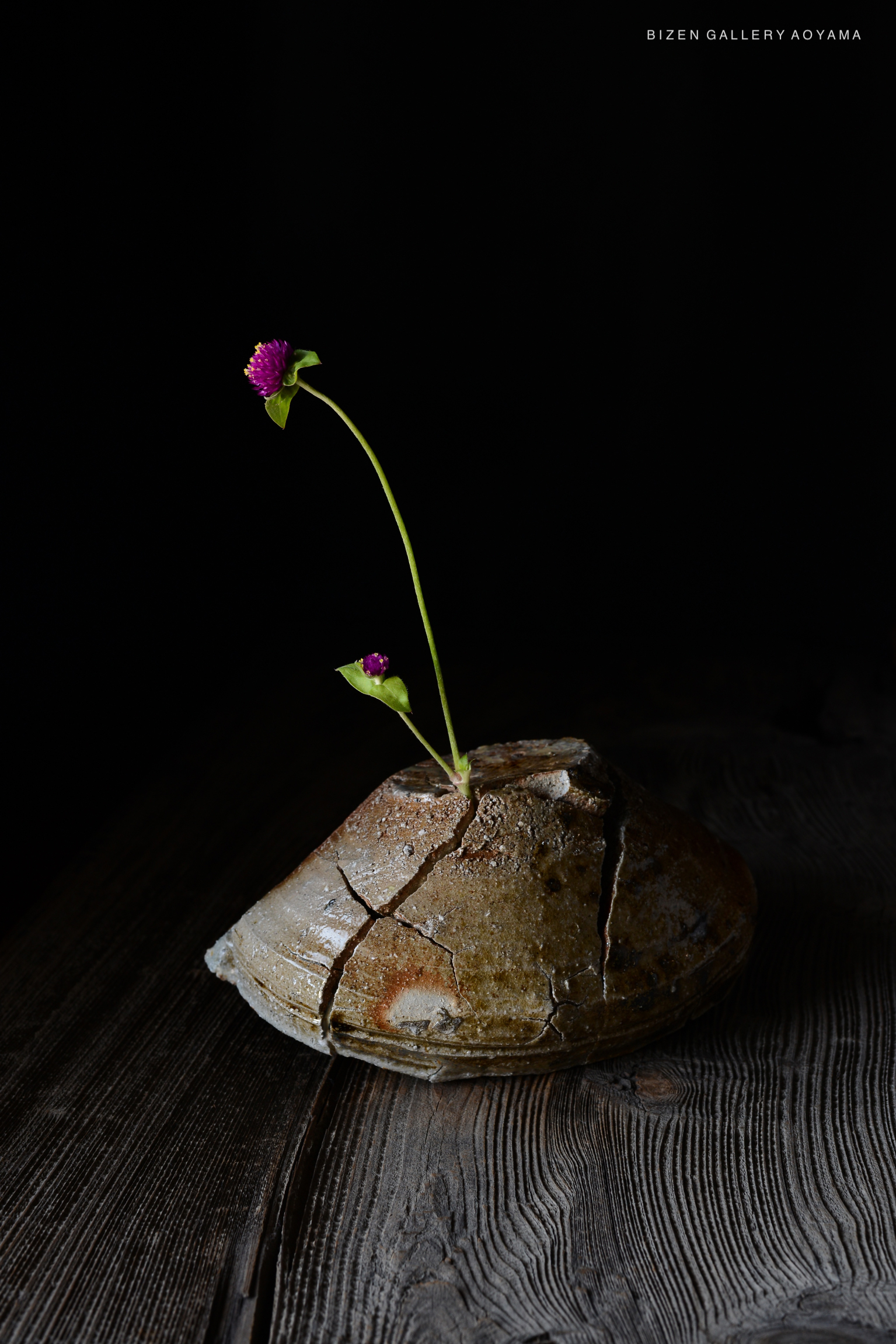 暗い背景の上にある壊れた陶器の花瓶と、その中に挿された緑の茎に1輪の紫色の花が咲いている様子